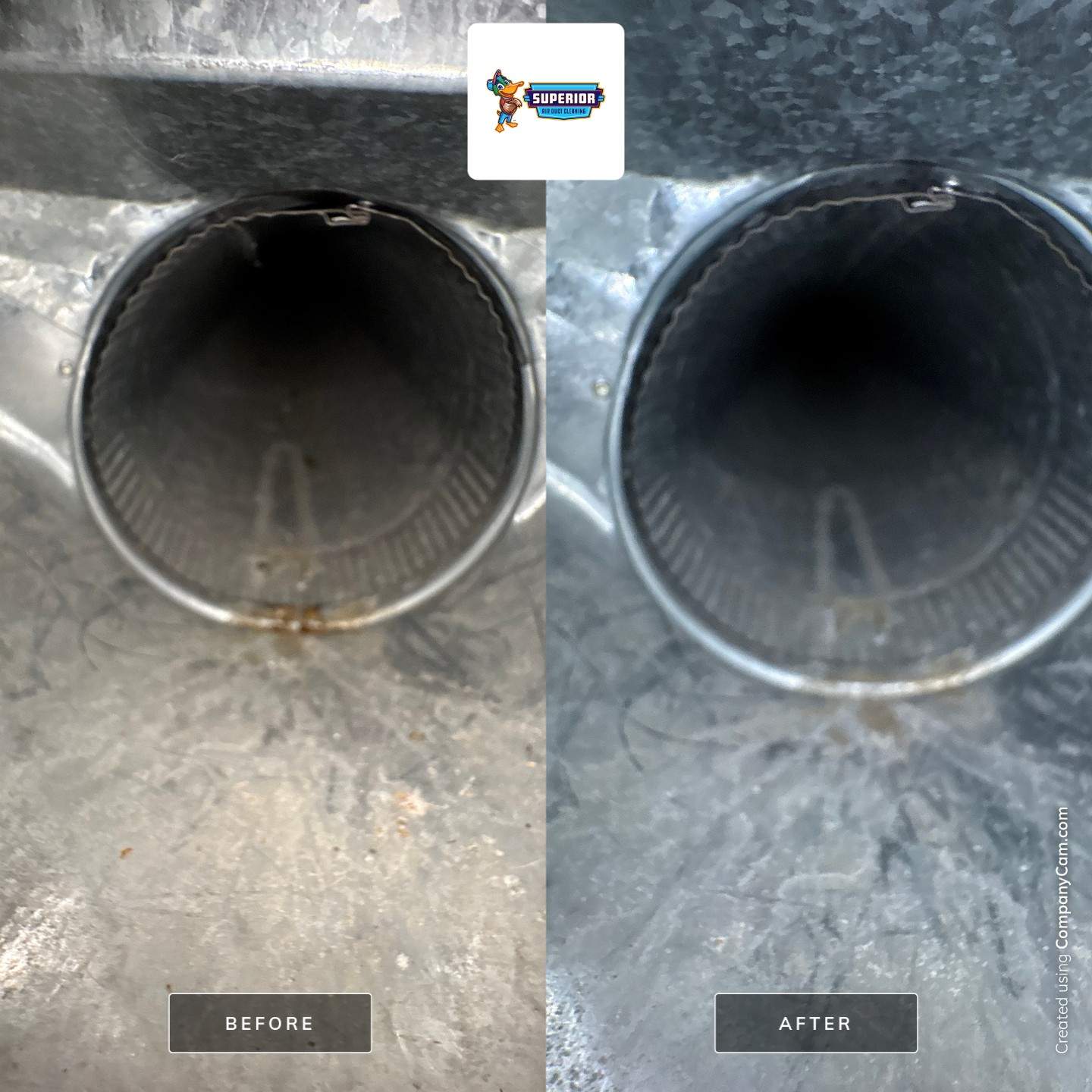 Comprehensive HVAC Air Duct System Cleaning for a Georgetown Home by Superior Air Duct Cleaning