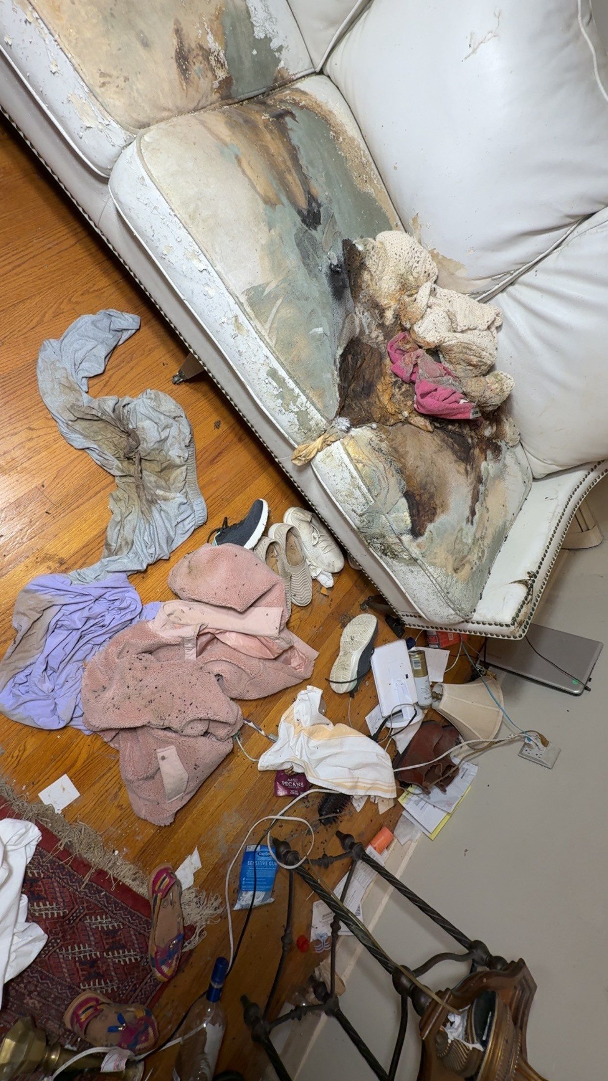 Biohazard, Unattended Death in Madison by Sadie’s Pro Cleaning