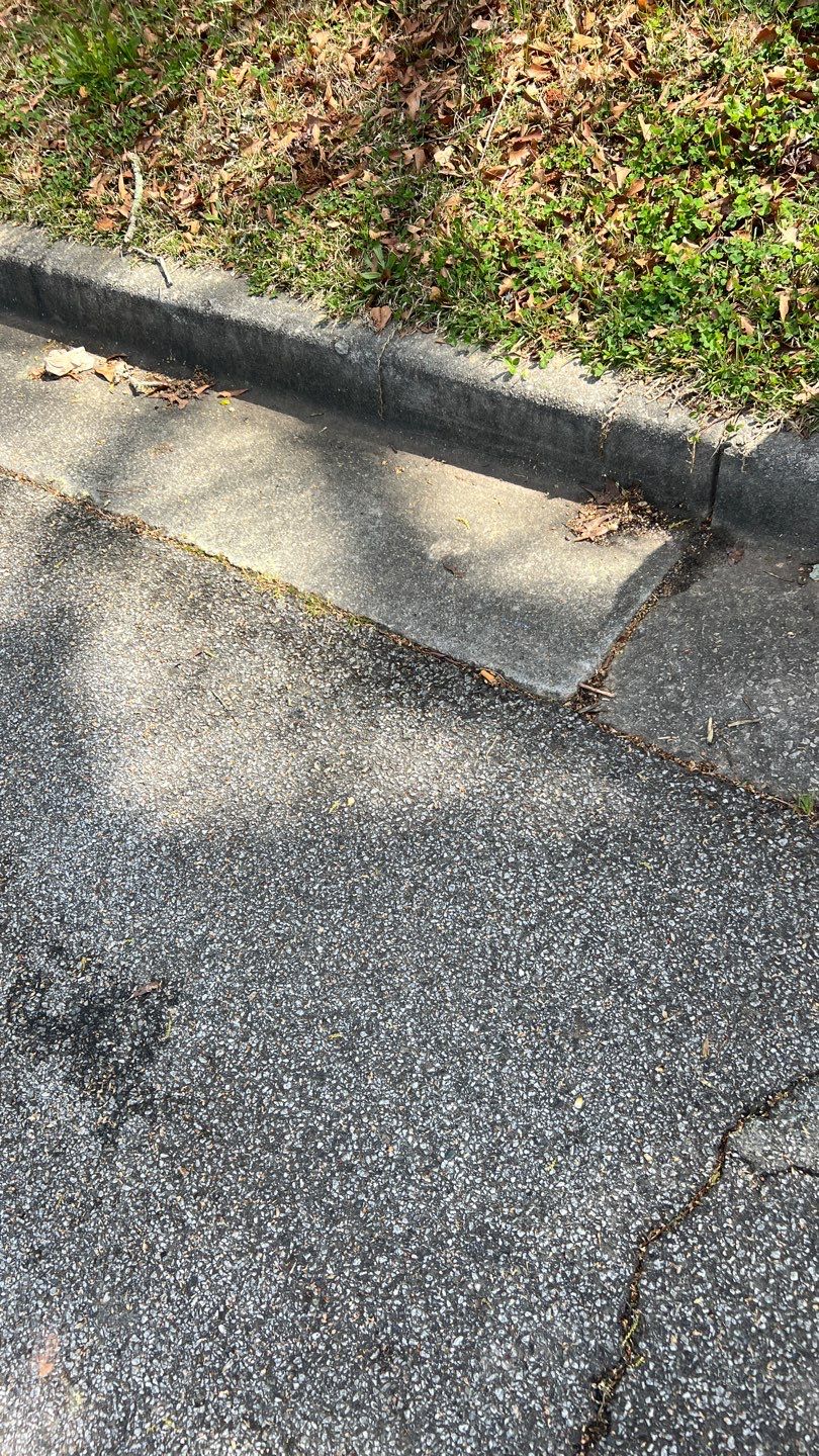 Gutter Cleaning using brown bags by Roof Bullies