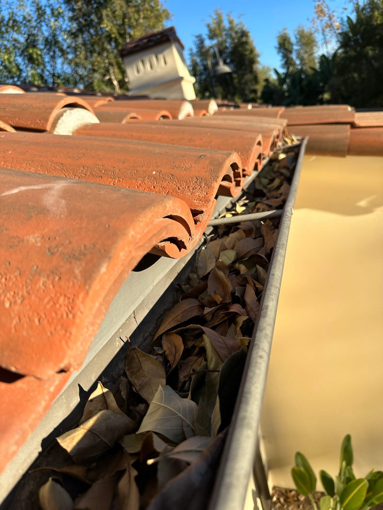 Orange County Gutter Cleaning by Property Cleaning Experts, LLC