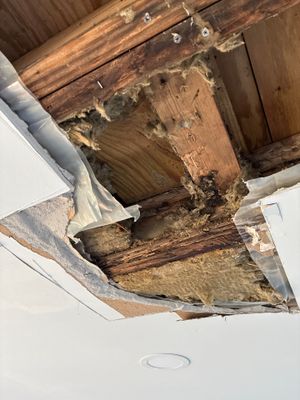 Flood Damage Cleanup — Cape Coral, FL