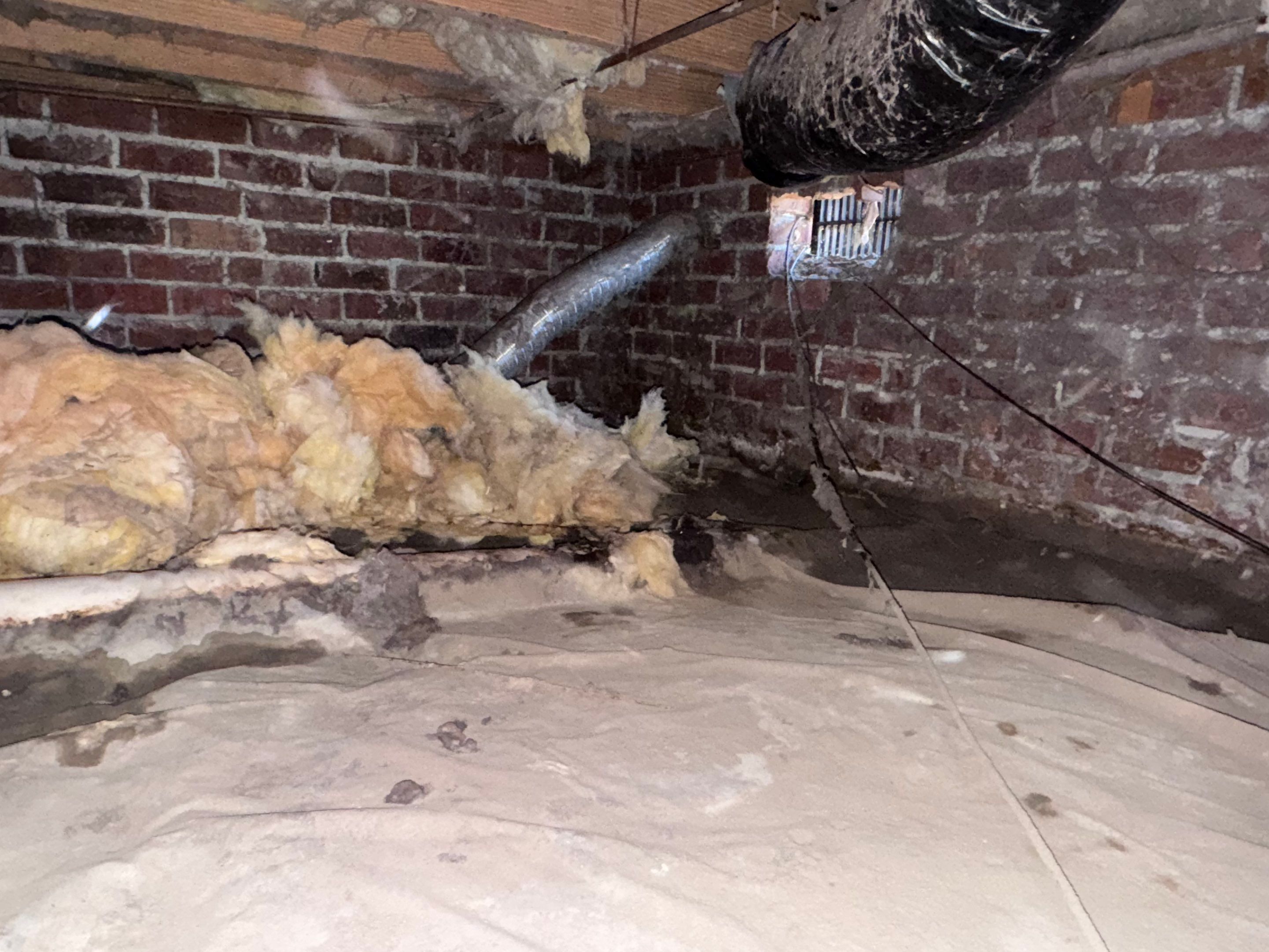 Structural Repairs inludiing sub-floor removal, new floor joists installed, girder replacmeent and dropped girder installed. by Impact Crawlspace