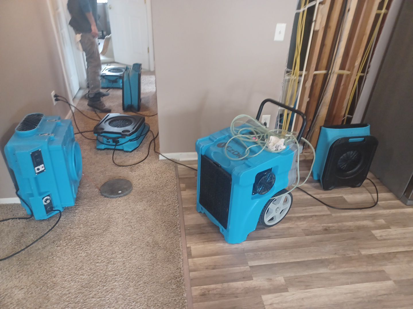 Project in Sterling Heights by EzDry Water Mitigation & Property Restoration