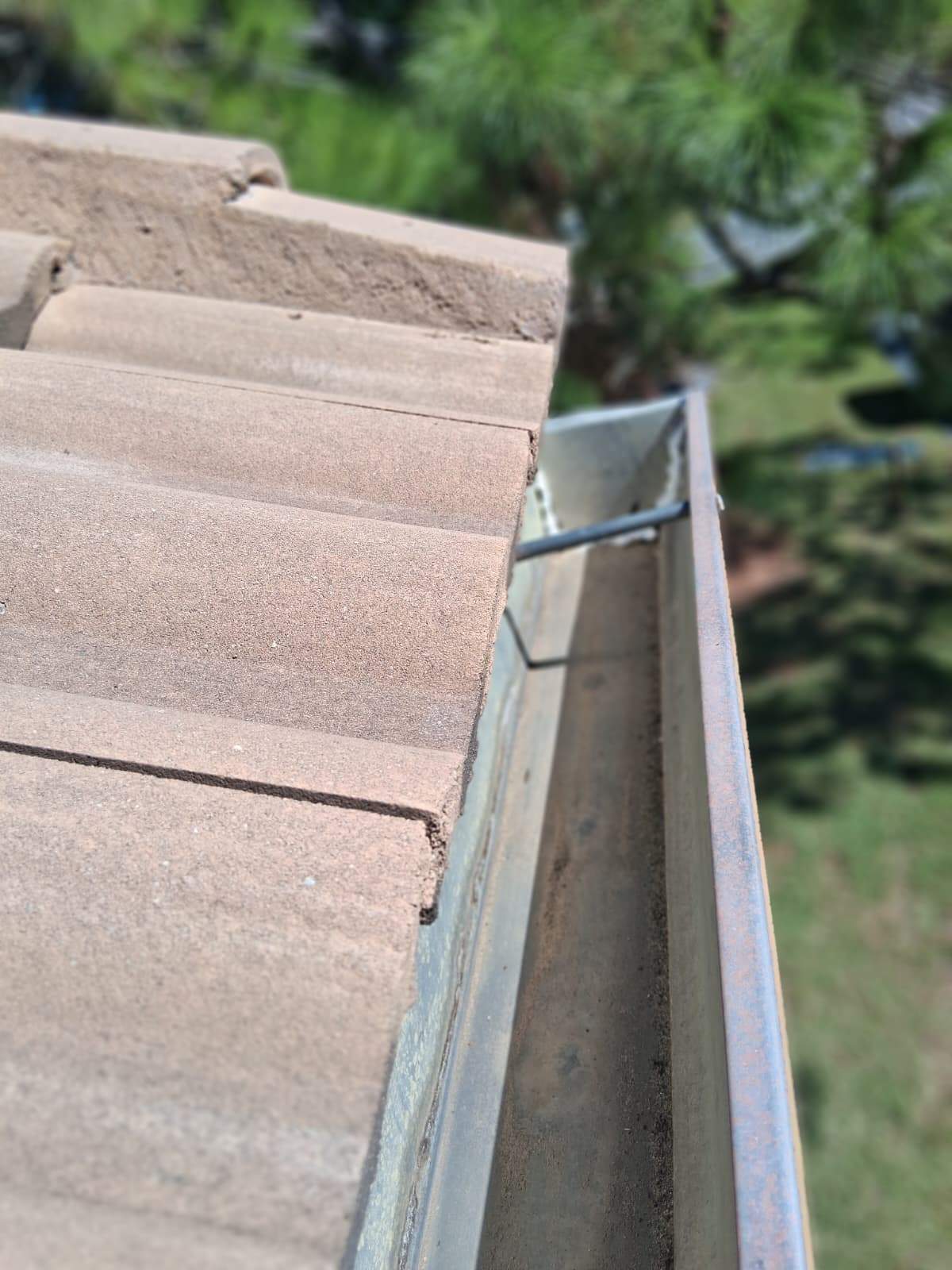 Gutter Cleaning Service in Sarasota FL by Gutter Professors