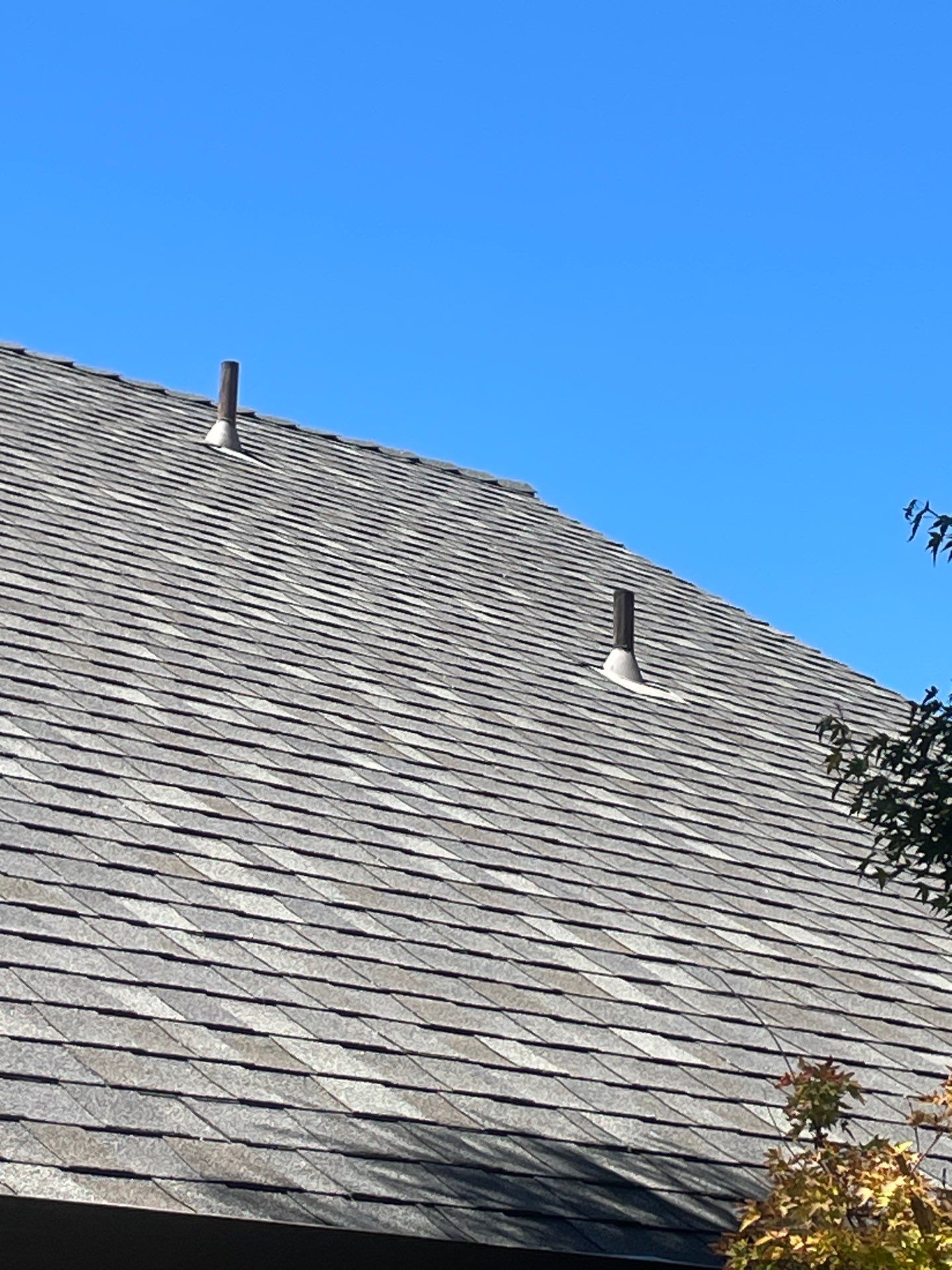 Roof Rejuvenation using Roof Maxx Treatment by Roof Maxx of Folsom