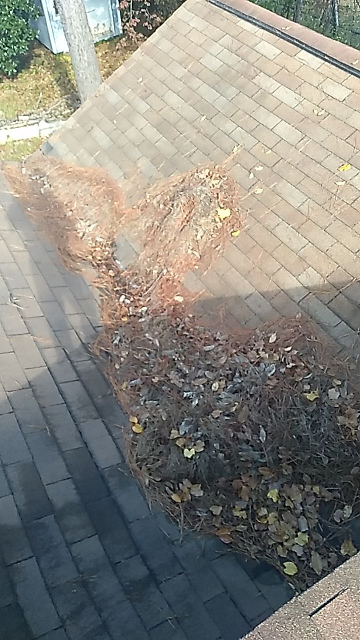 Residential Leak Repair  by Indigo State Roofing