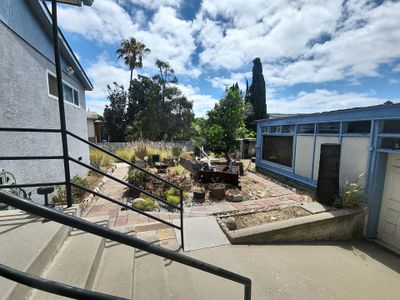 Residential Site Clearing and Landscape Clean Up in San Diego