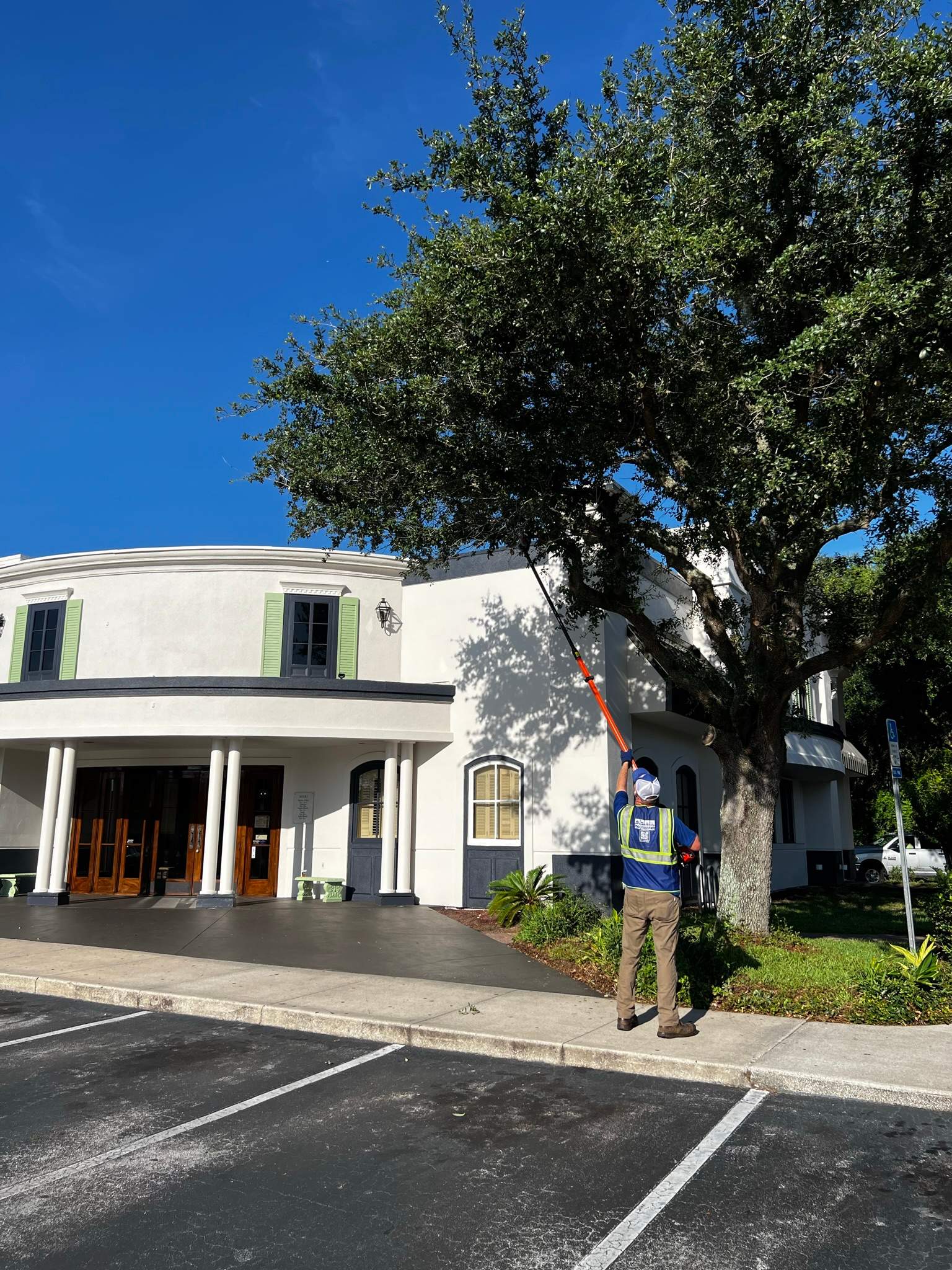 Tree Trimming | Copeland's Restaurant by ProGreen Services
