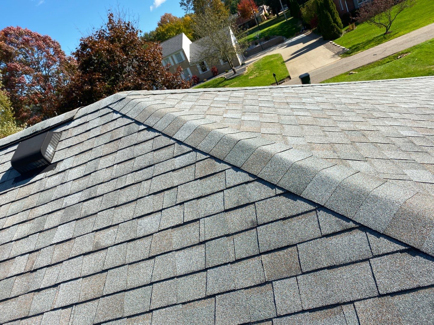 Devon Bunting by Silver Leaf Contracting 