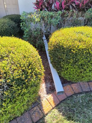 White Seamless Gutters using 6 Inch Seamless Gutters in Sarasota FL