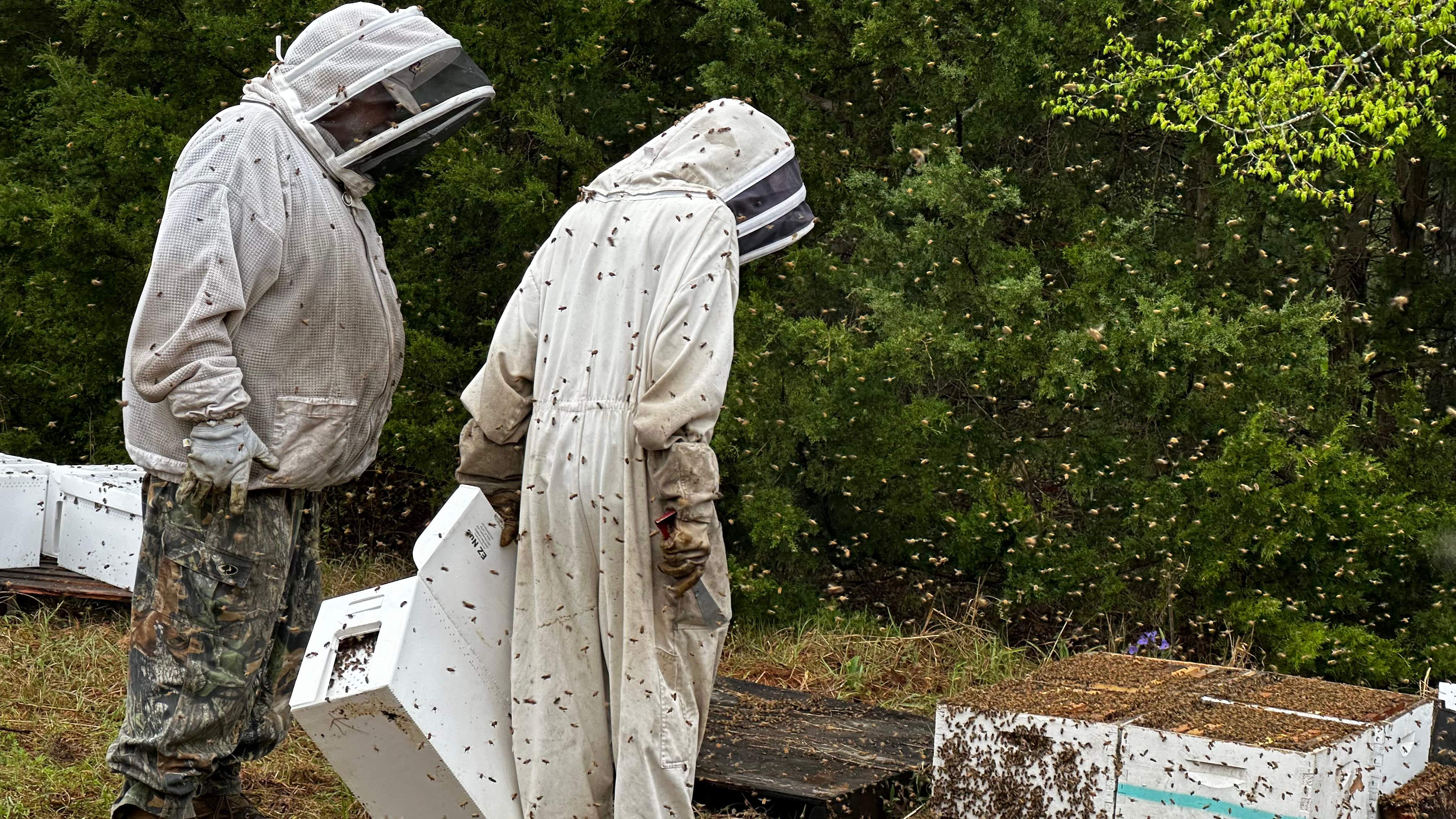 BeeGirl ETX HQ by Rockwall Honey Bee Company