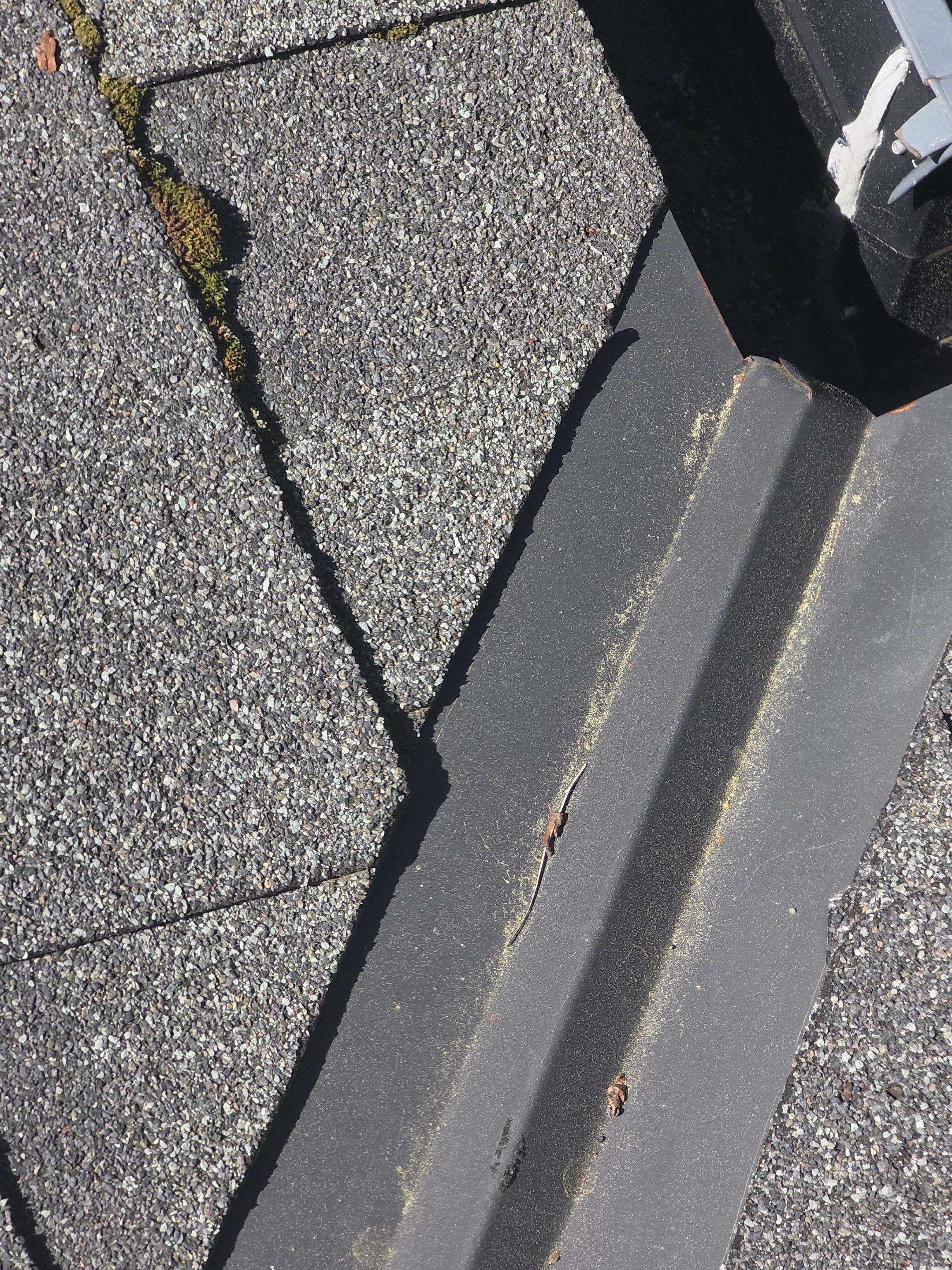 Roof Rejuvenation using Roof Maxx Treatment by Roof Maxx of Folsom