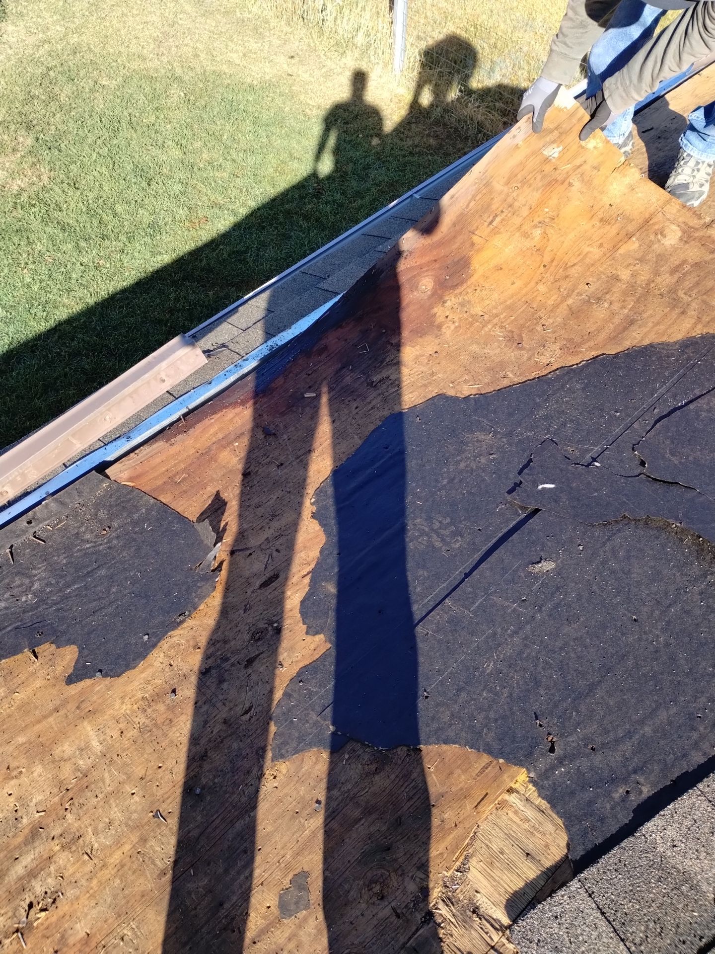 Lavern Monroe by Unified Roofing