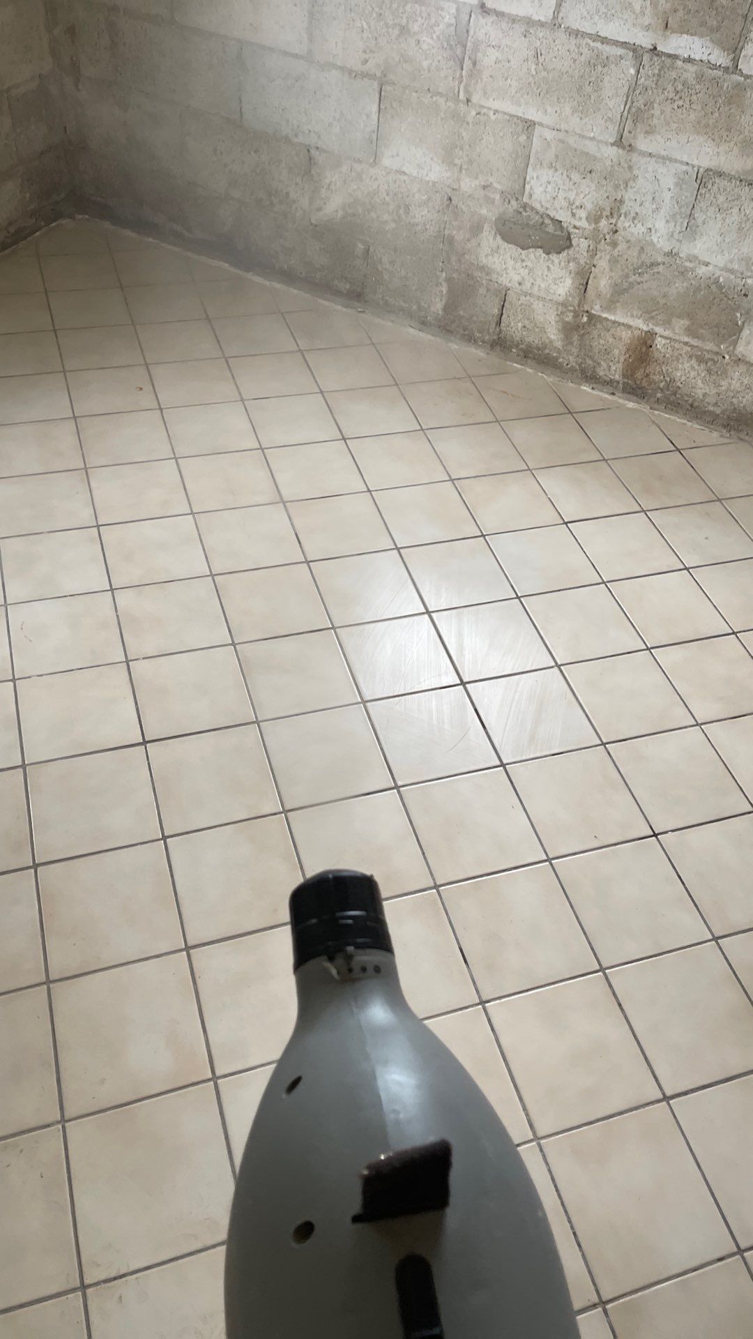 Mold Remediation  by THE RAPID TEAM