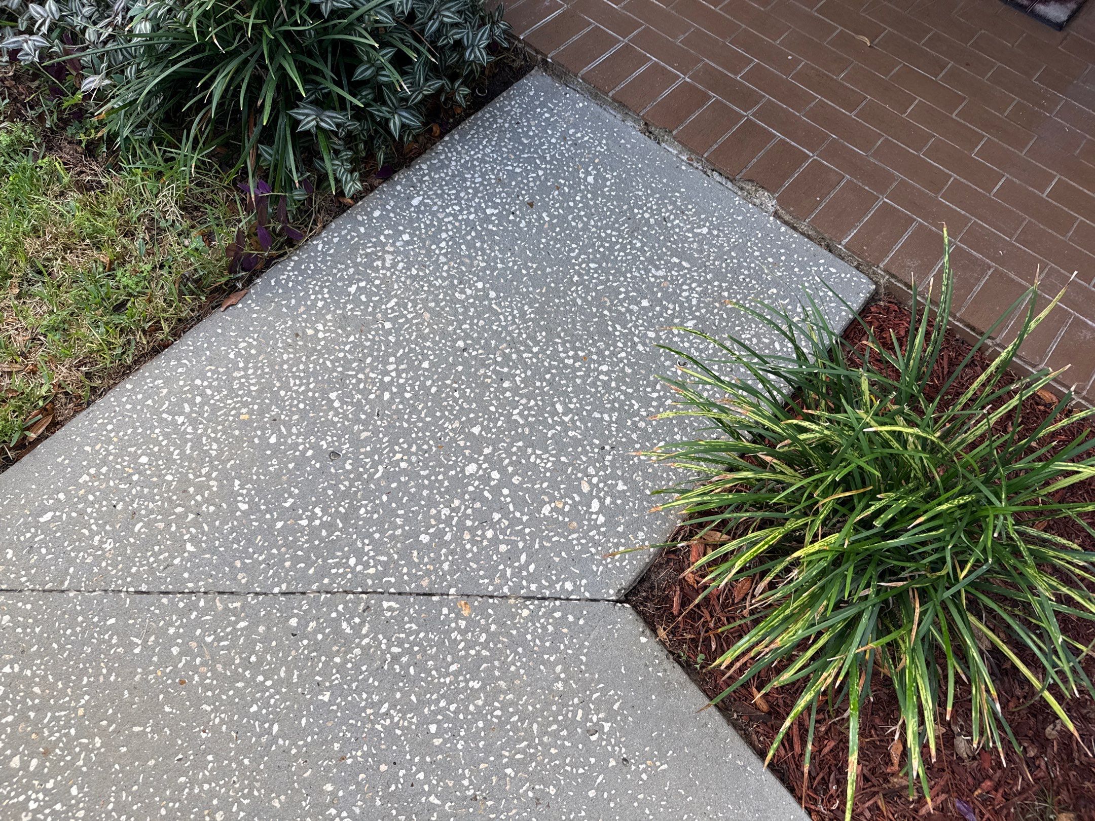 Concrete Driveway & Sidewalk Cleaning in Valrico, FL by Sunshine AquaWash