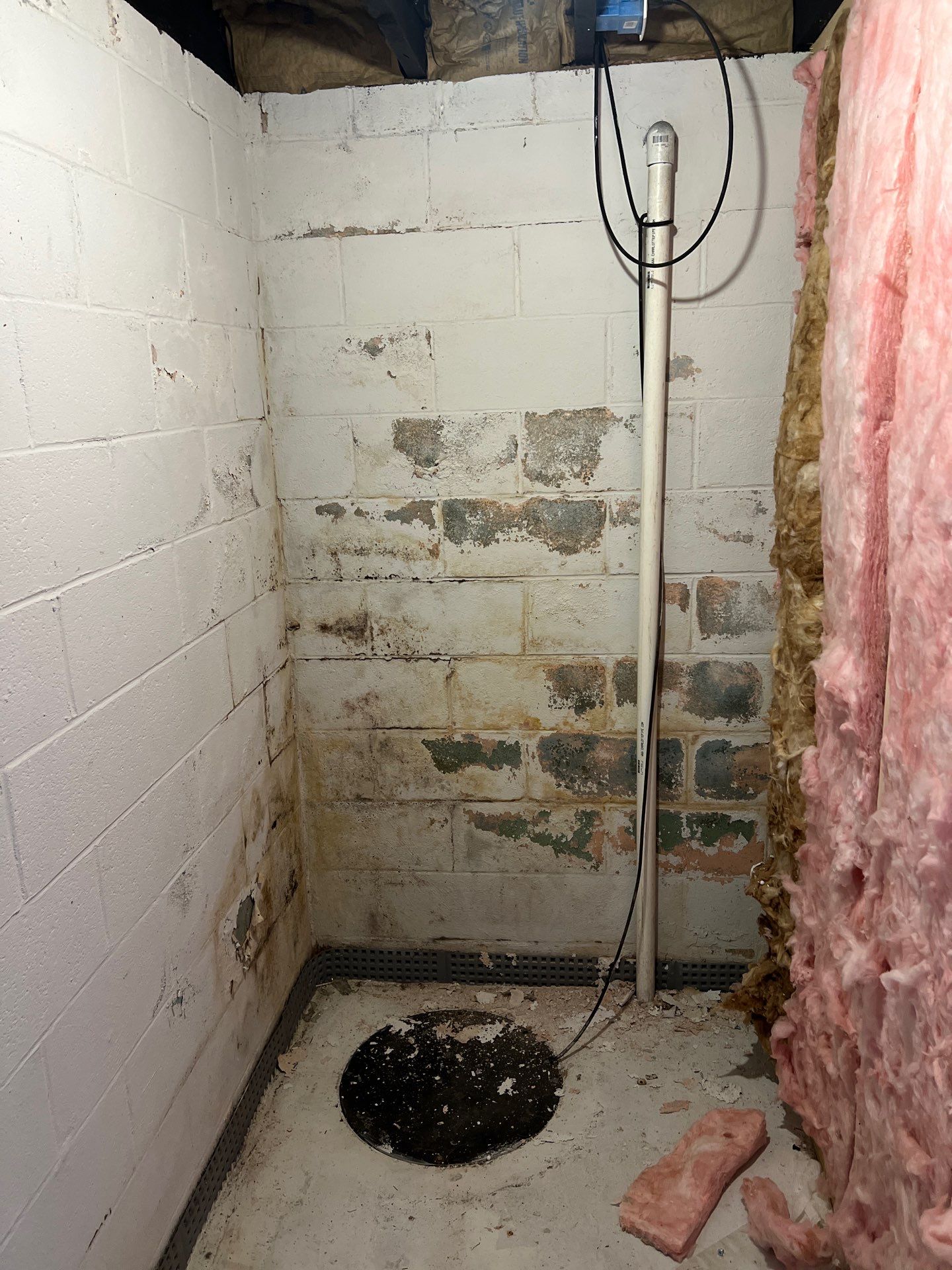 Phoenixville Basement Mold Remediation and Sanitation by Right On Time Restoration