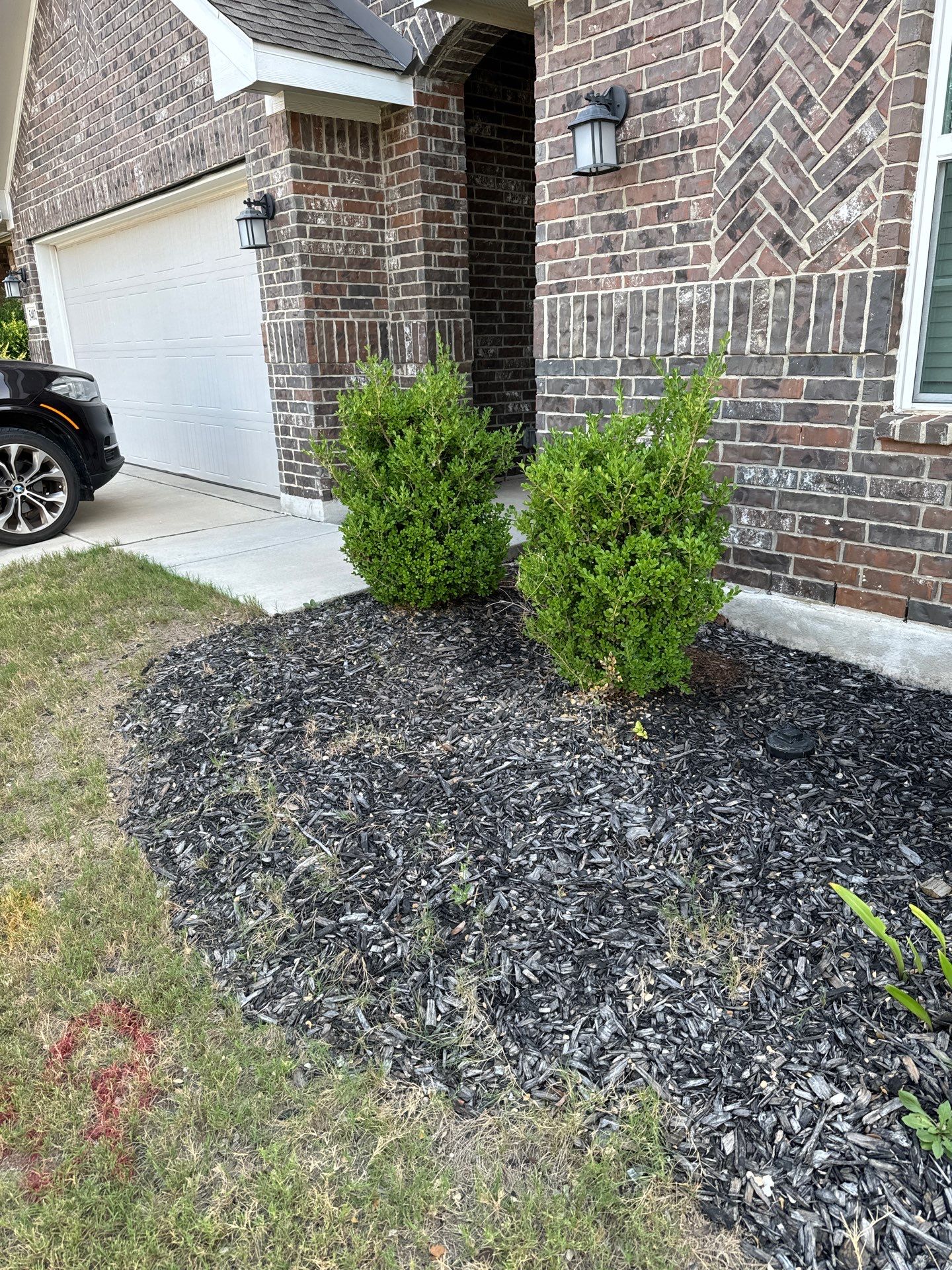 Wortham Oaks - San Antonio, TX by Hole In One Lawns, LLC