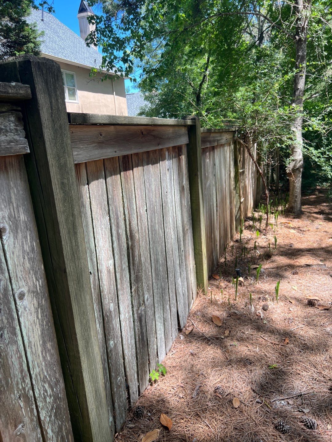 6ft & 8ft Treated Pine Good Neighbor by Roberson Construction LLC