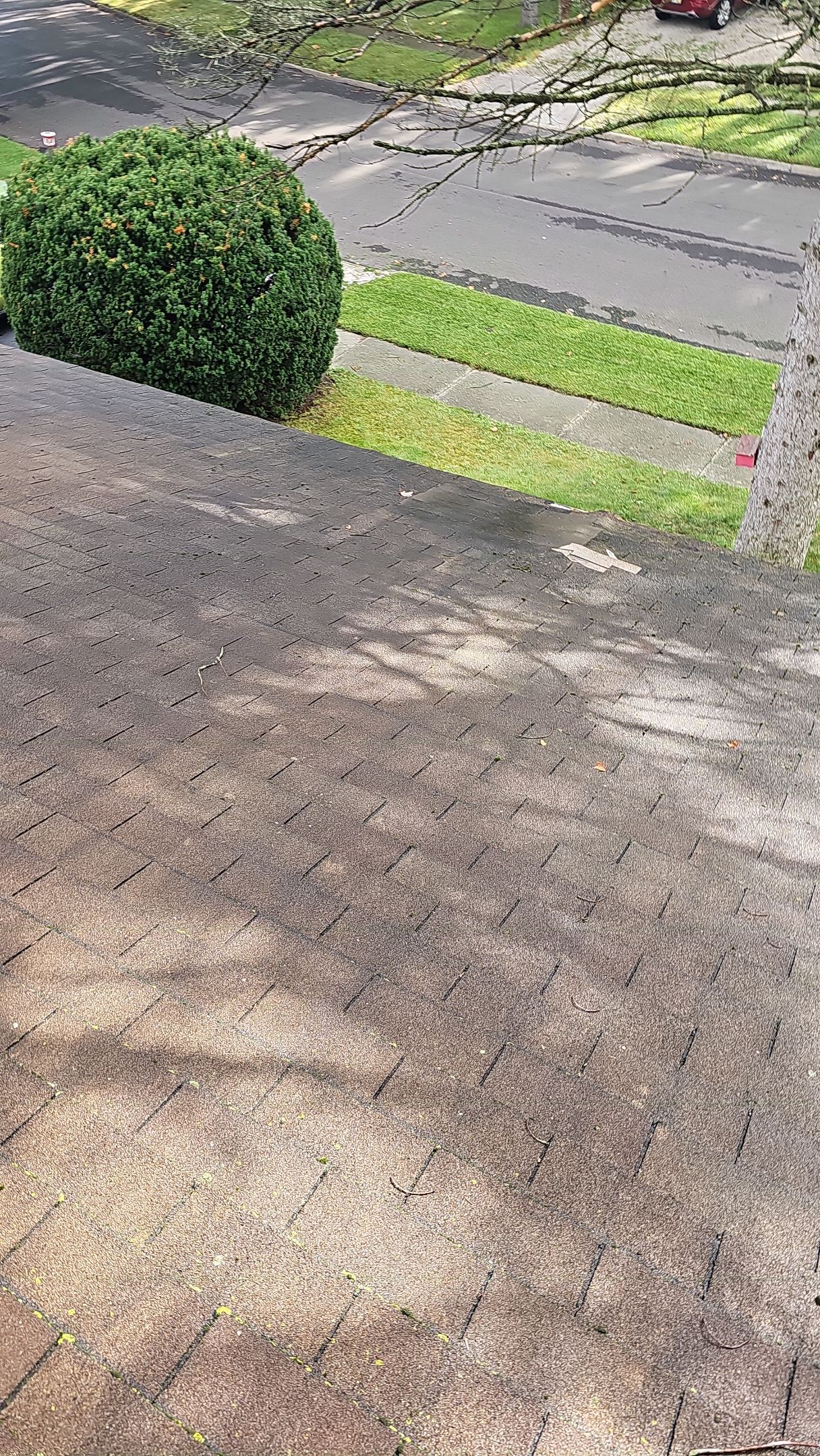 Atlas Pinnacle, Color, Copper Canyon, Drip Edge, Color, Royal Brown by Eagle Eye Roofing