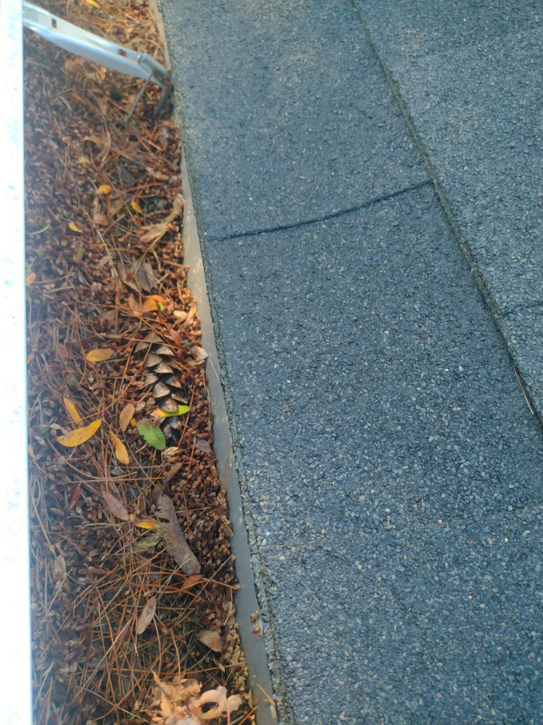 Commercial gutter cleaning Springfield, MI before photo with filled gutters