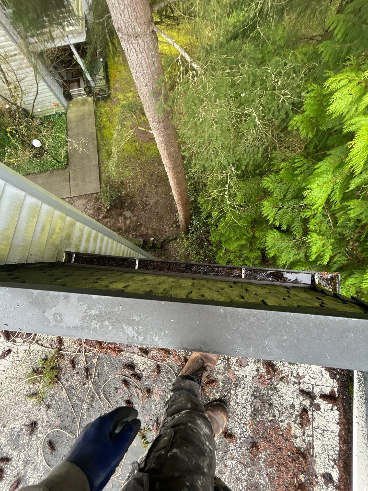 Project in Kirkland by Peaks and Valleys Construction