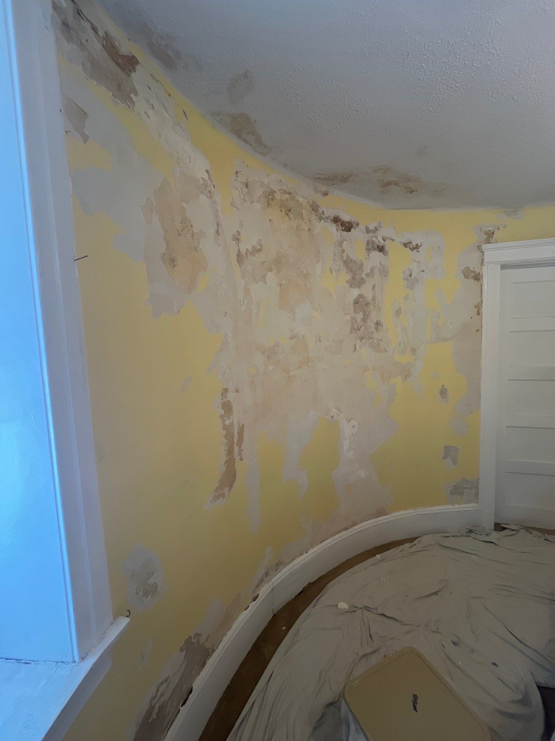 Walls & Ceilings Restoration by FreshCoat Works LLC