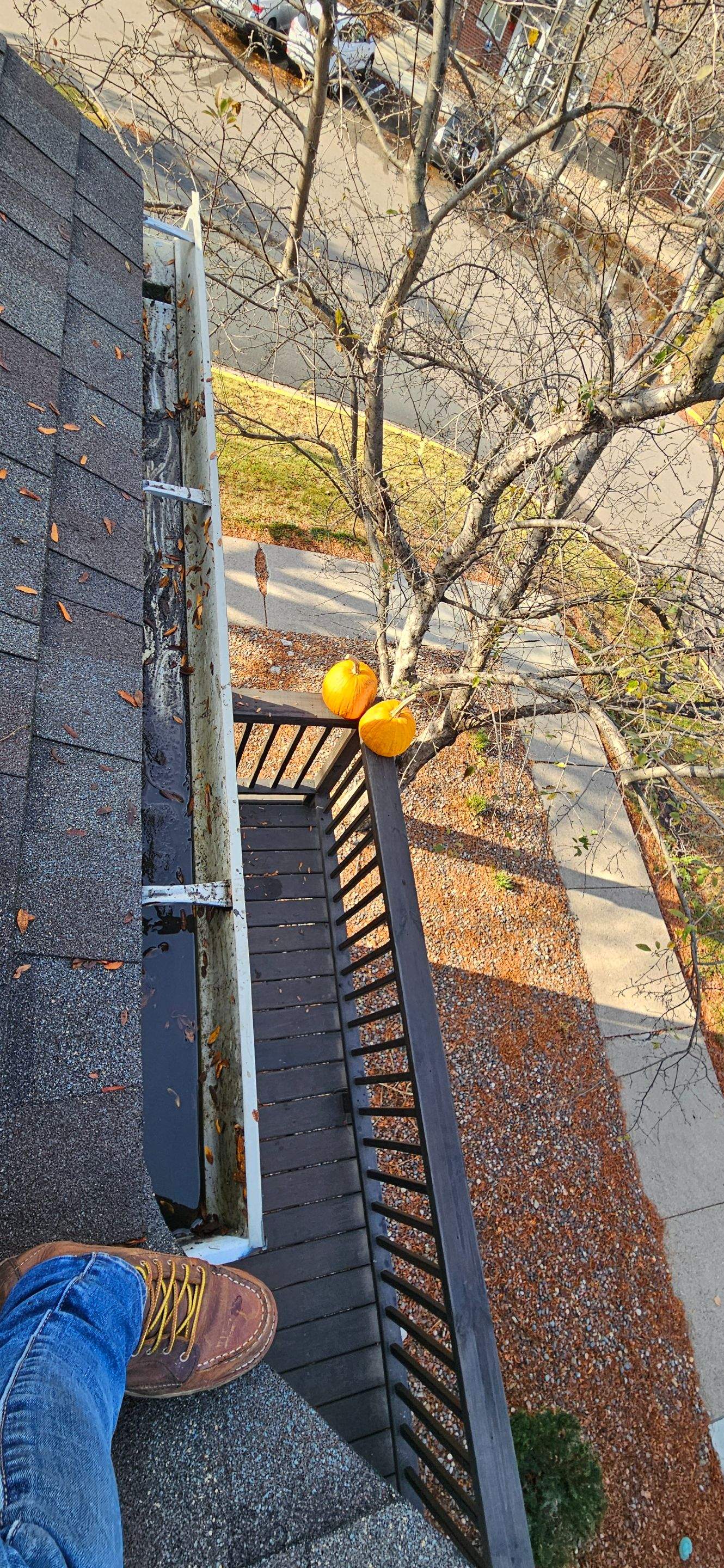 Commercial gutter cleaning Rochester after photo with clean gutters