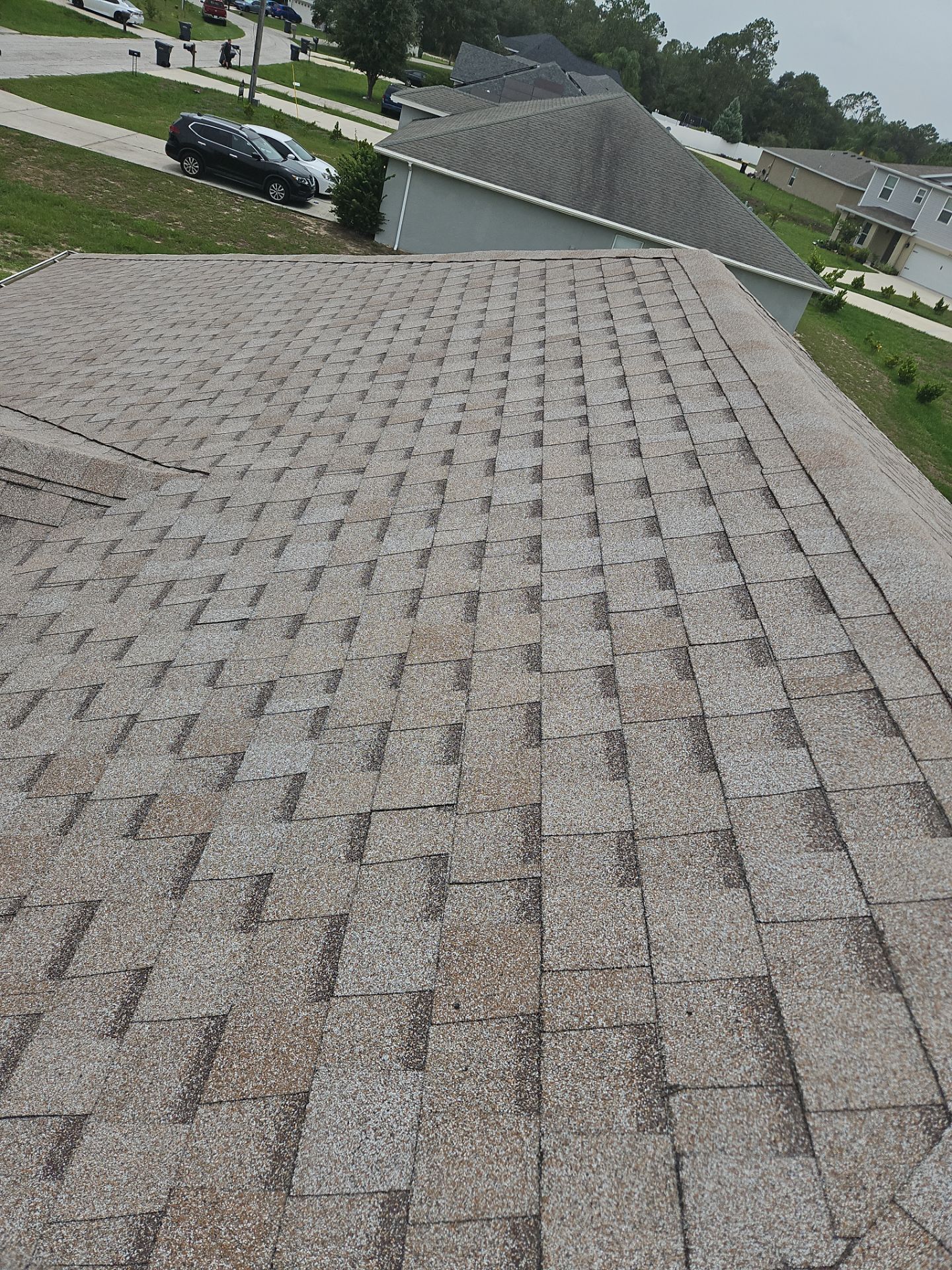 Shingle Reroof Replacement Kissimmee FL by Pinnacle Roofing Group