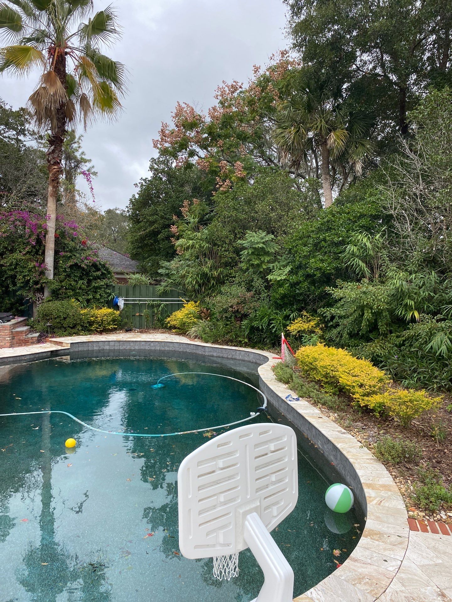 Deerwood Resident | Extreme Cleanup by ProGreen Services