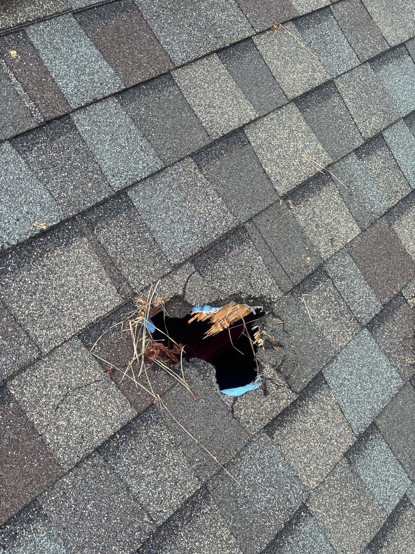 Roof Repair Spring by Roof Repair Company