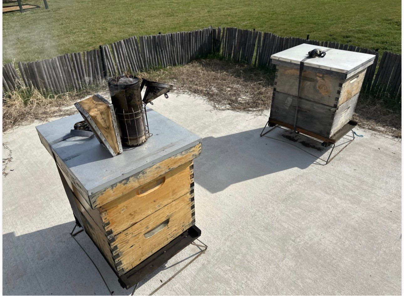Bees at the Bank! by Rockwall Honey Bee Company