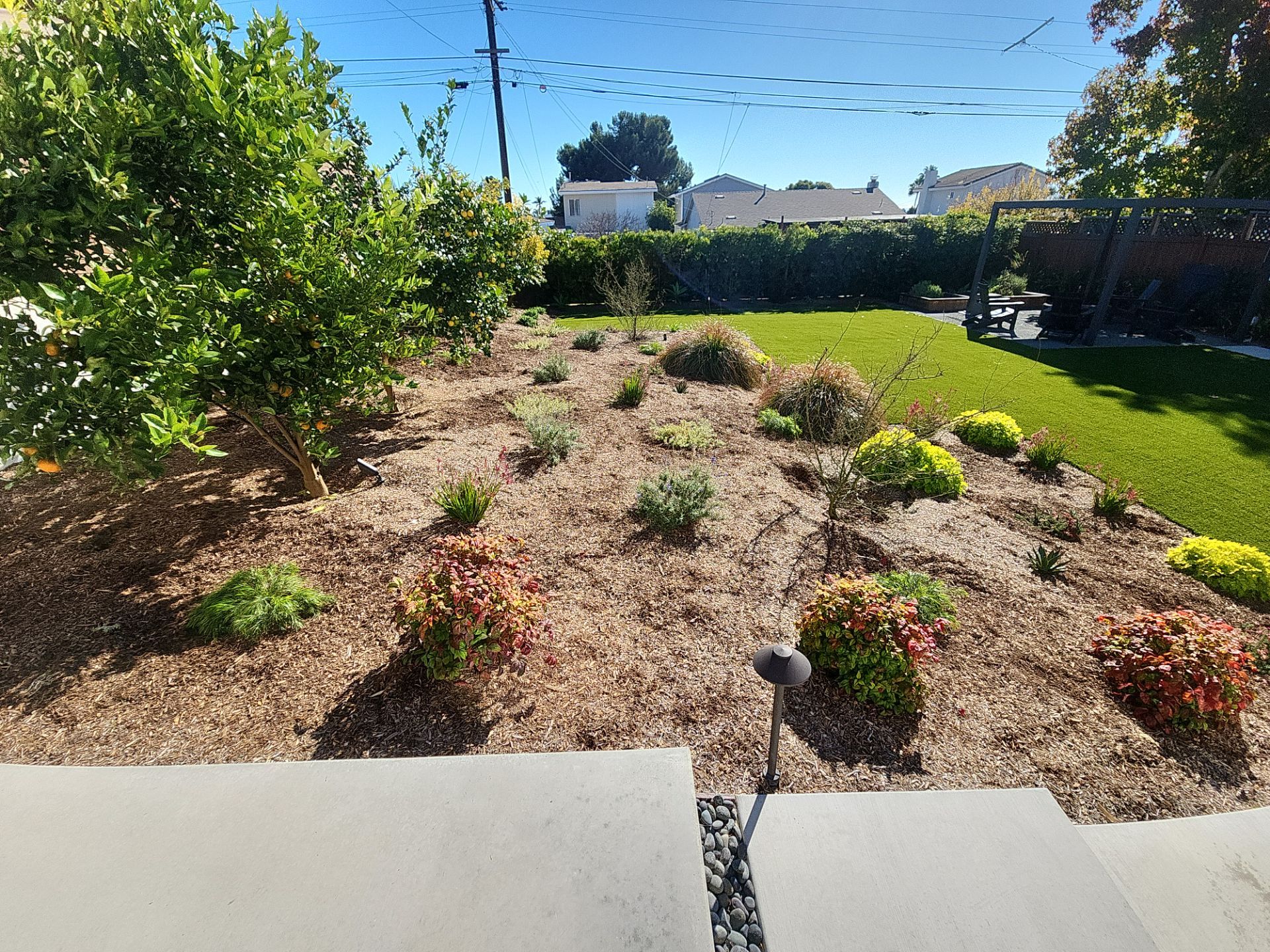 Modern Planting Installation and Low-Maintenance Landscaping in San Diego by Yard Techs