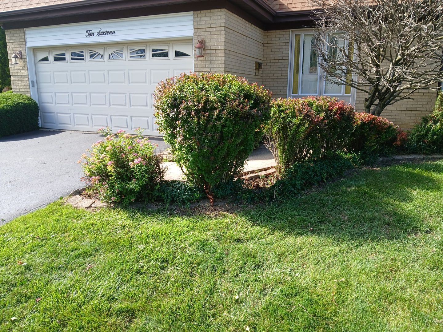 Andrew L. - Arlington Heights, IL by A&N