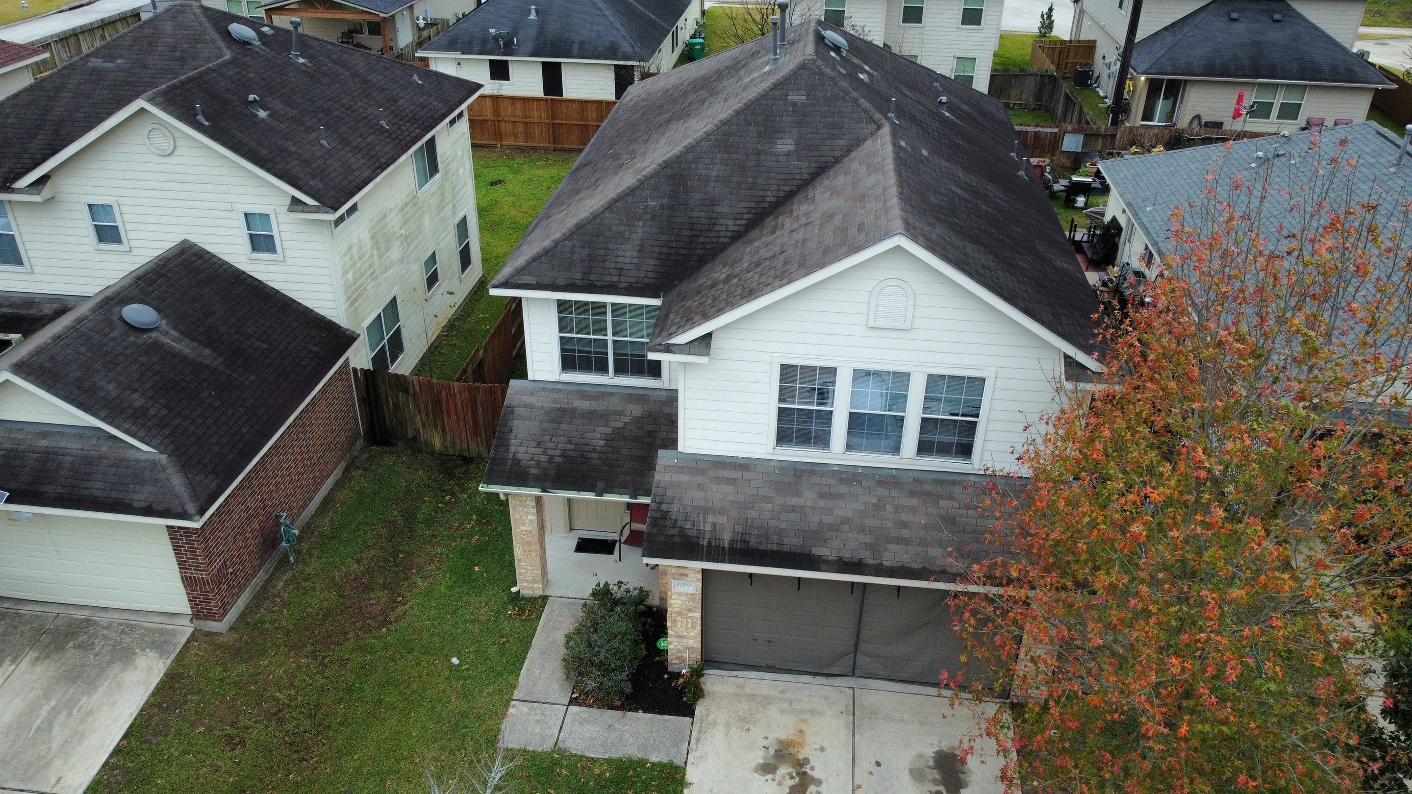 Silver Birch Shingles by Reimagine Roofing