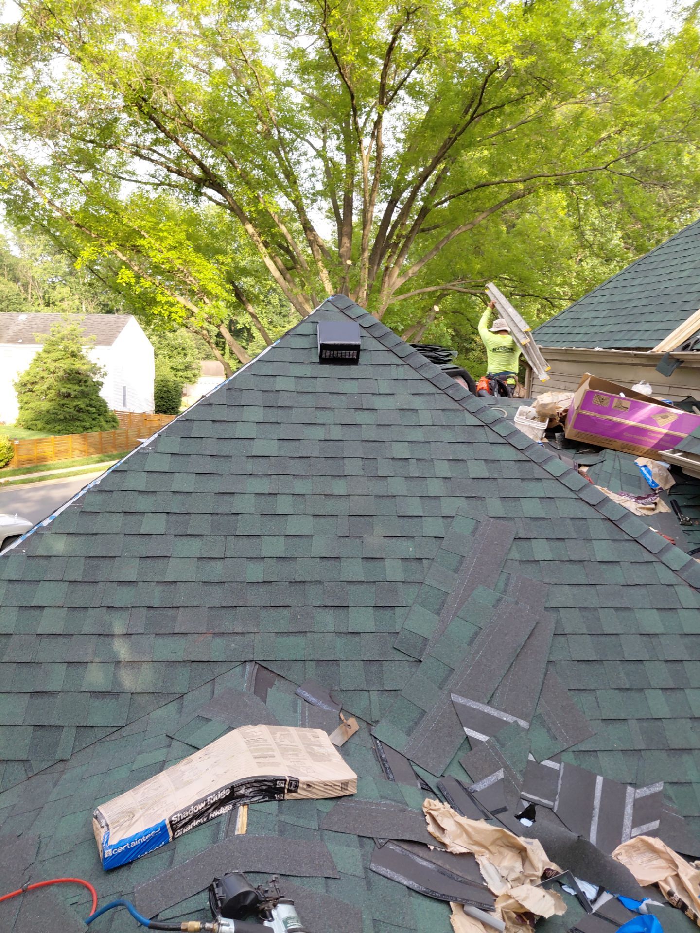 Springfield: Roof Replacement with CertainTeed Landmark Pro in Max Def Evergreen by RM Banning, Inc.