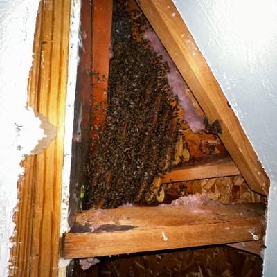 Ceiling, not Wall
