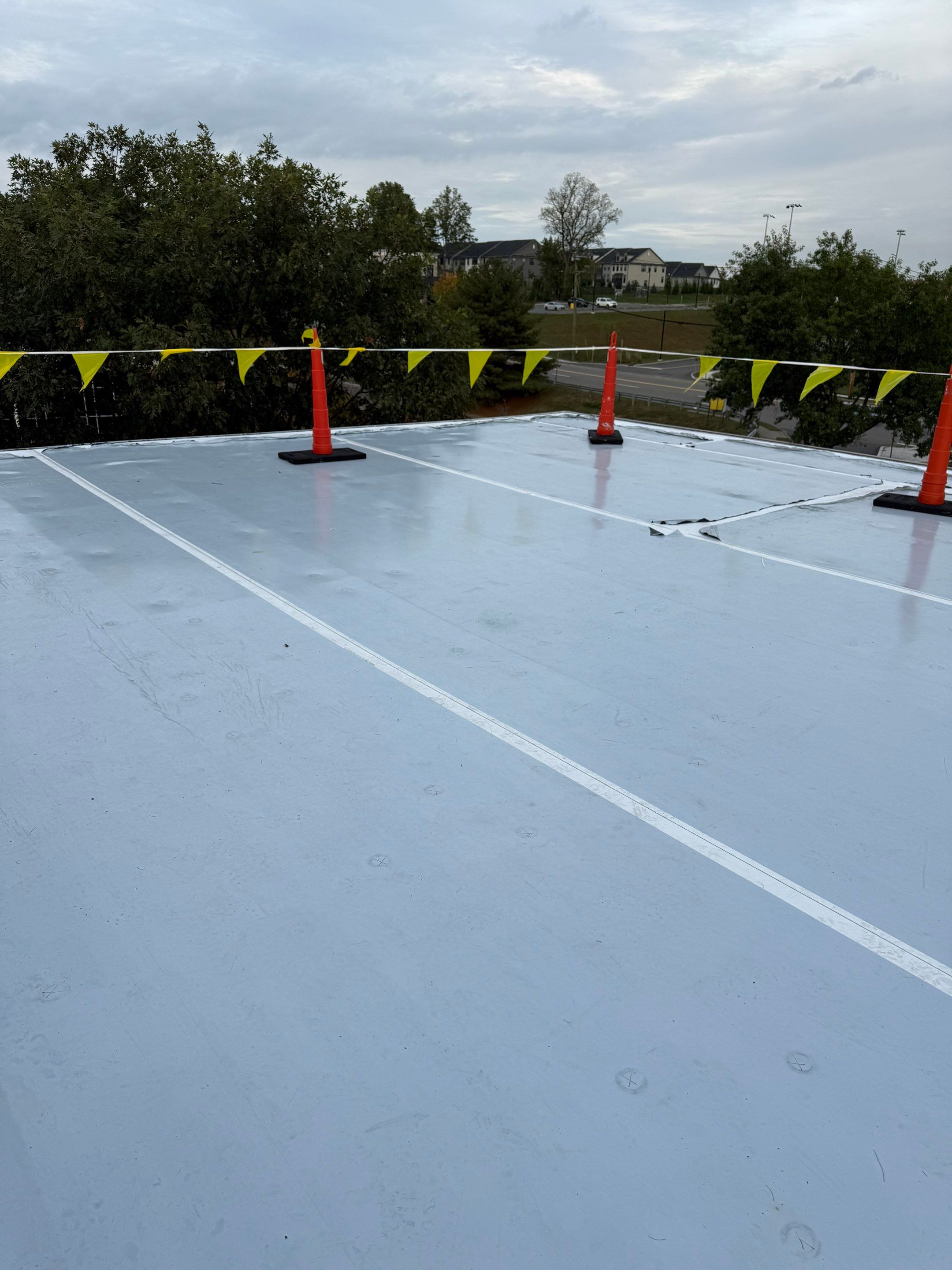 Commercial Roof Replacement – TPO Rhinobond System Installed at TD Bank by All Site Roofing
