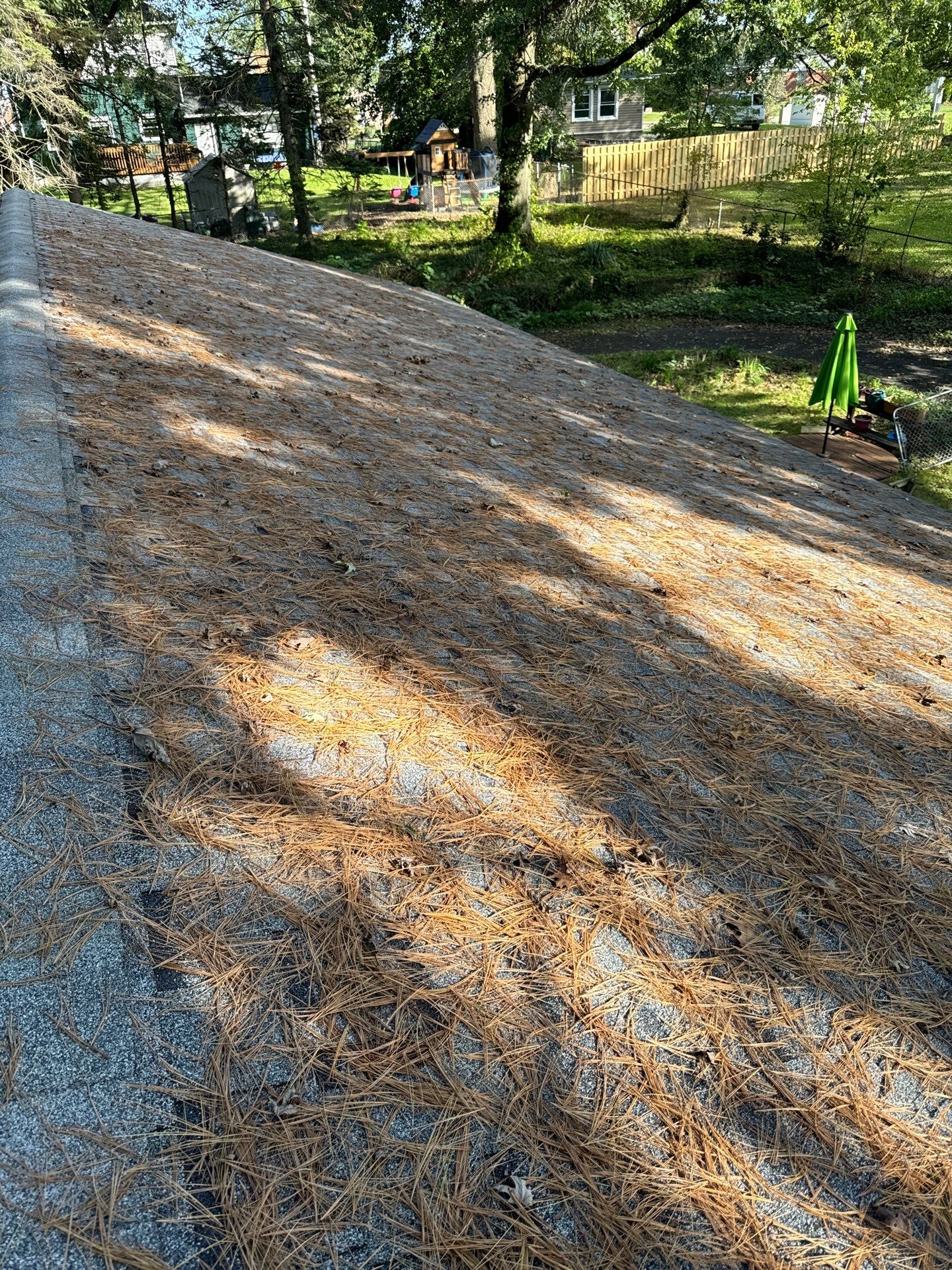 Joe Burlingame by Silver Leaf Contracting 