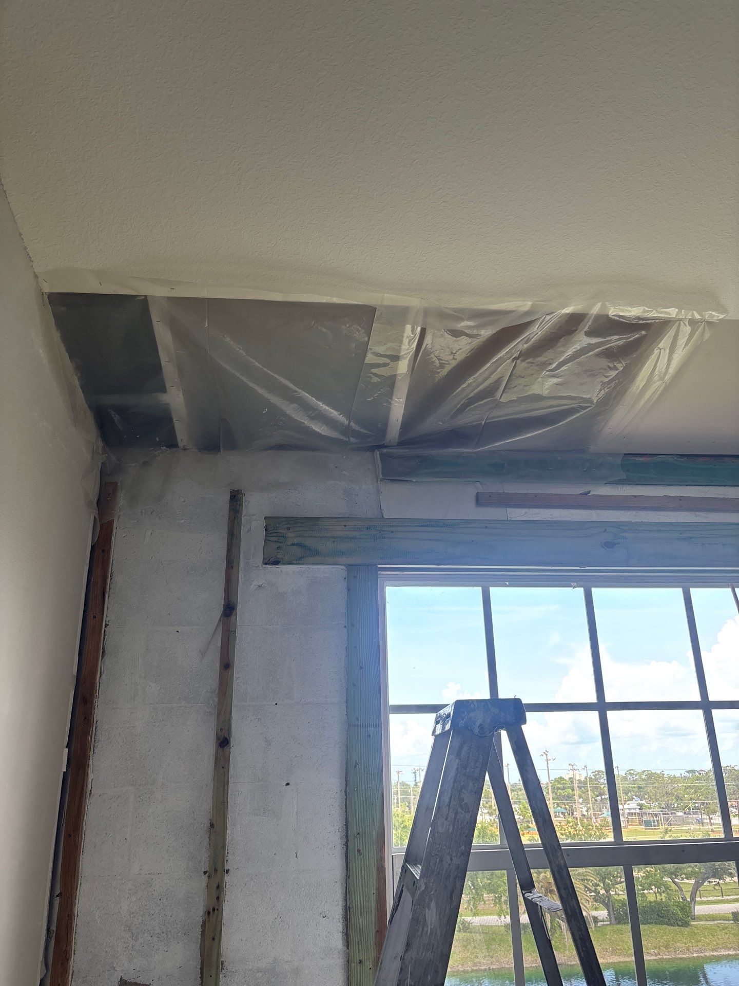 Mold Damage Restoration & Removal in Venice, FL by Ampm Restoration Services 