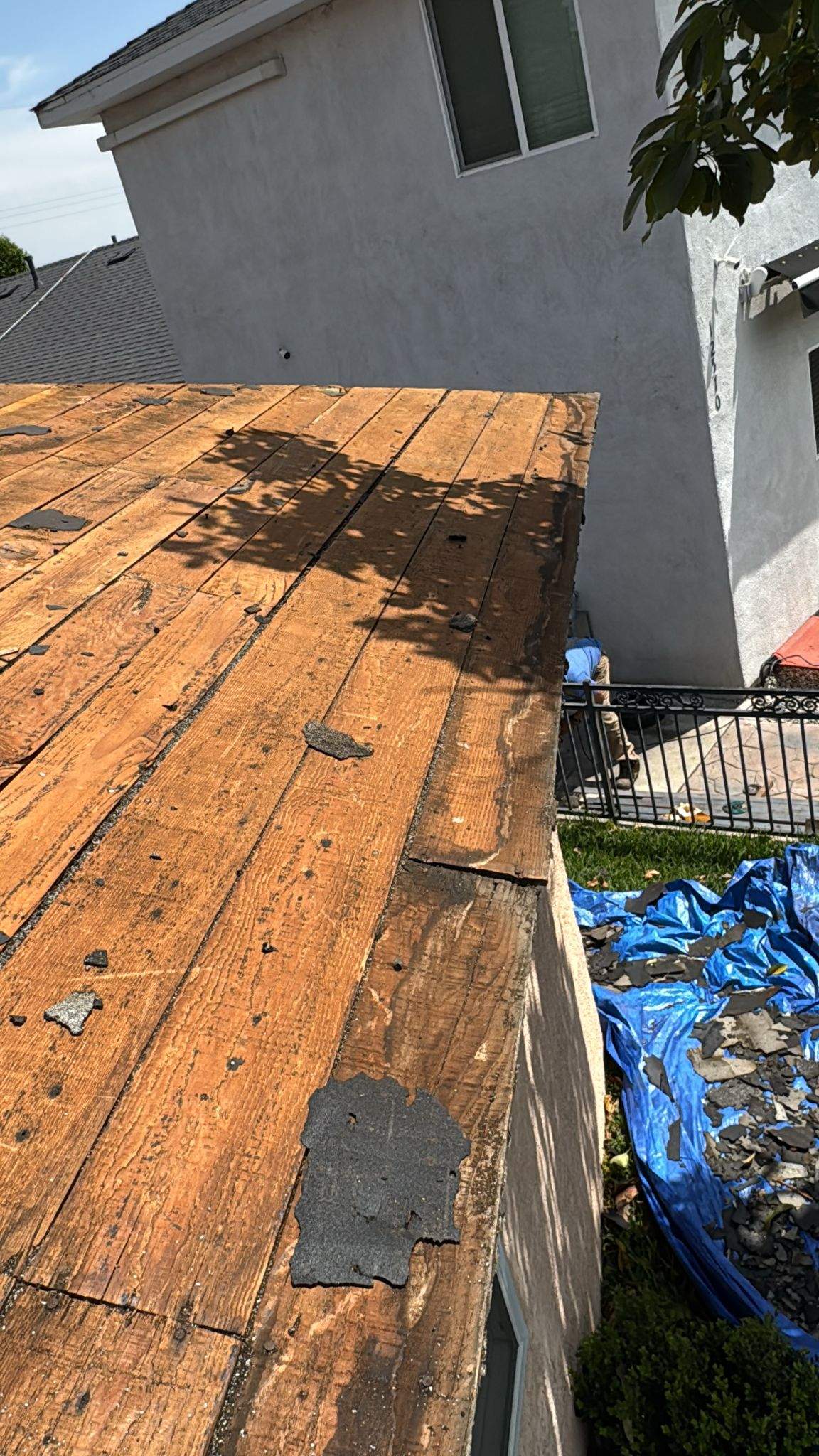 Roof Replacement - 12566 Mineola St by Epic Roof Replacement