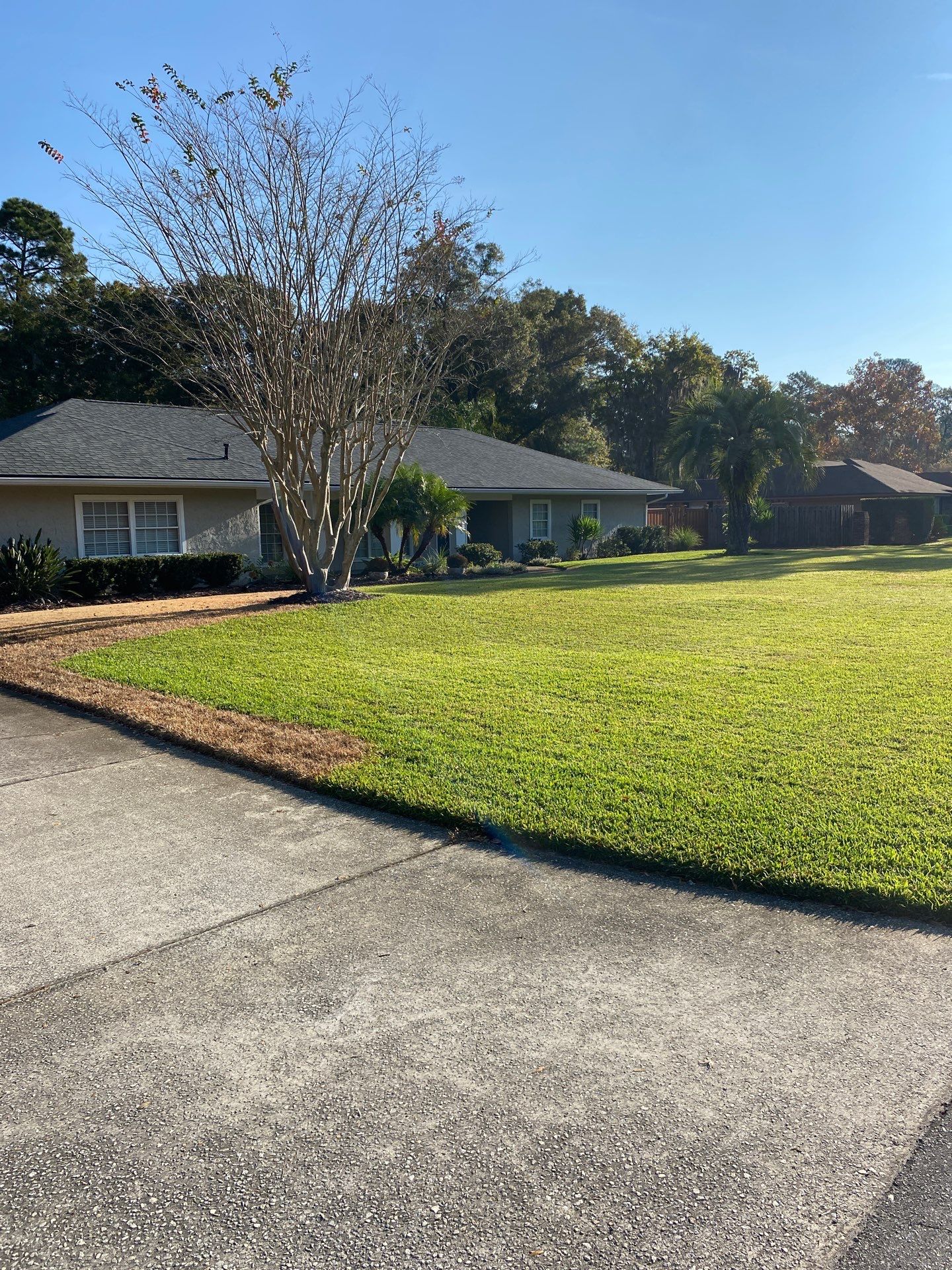 Deerwood Resident | Winter Sod Replacement by ProGreen Services