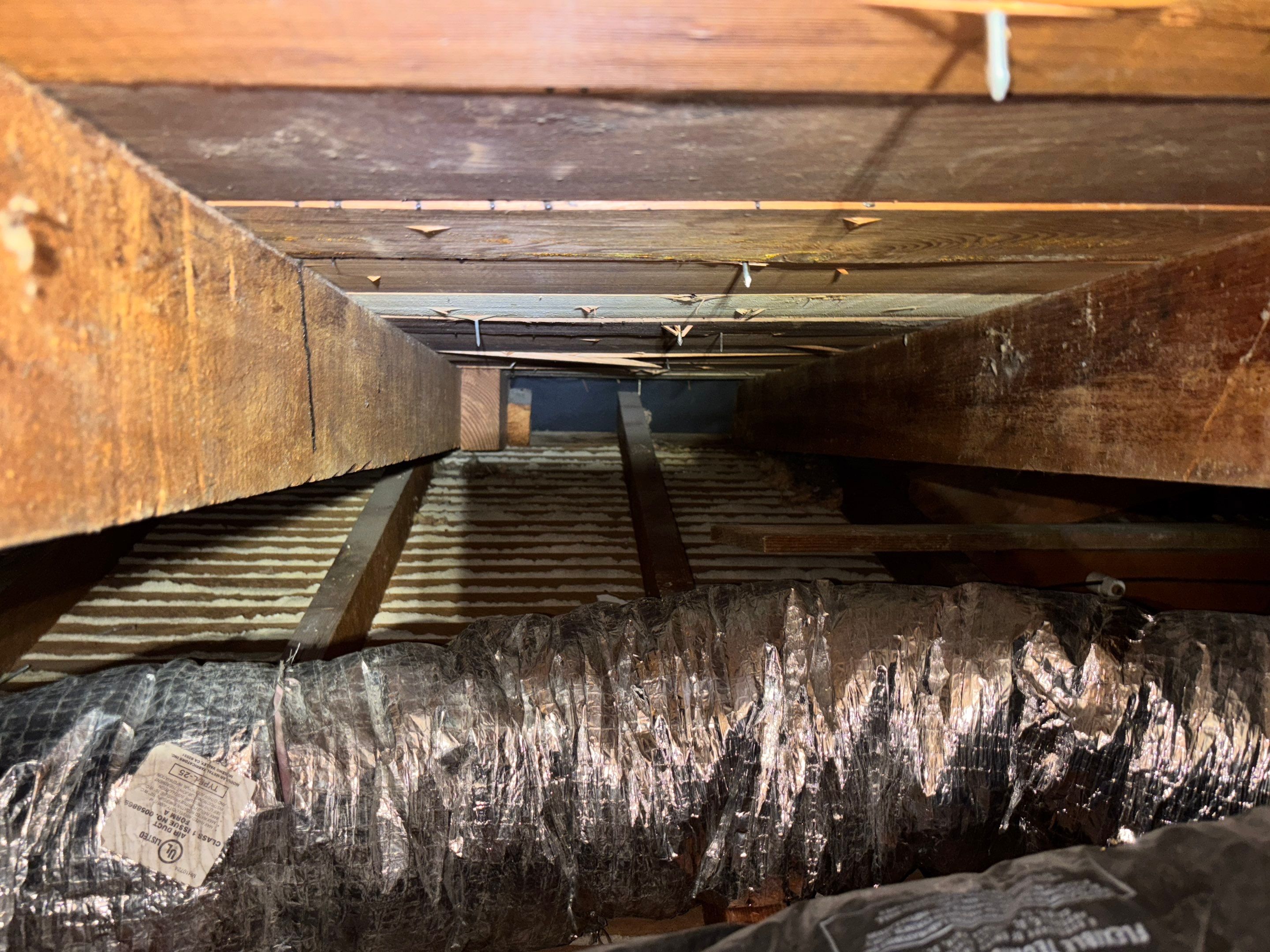 Project in Pasadena by Insulation Labs