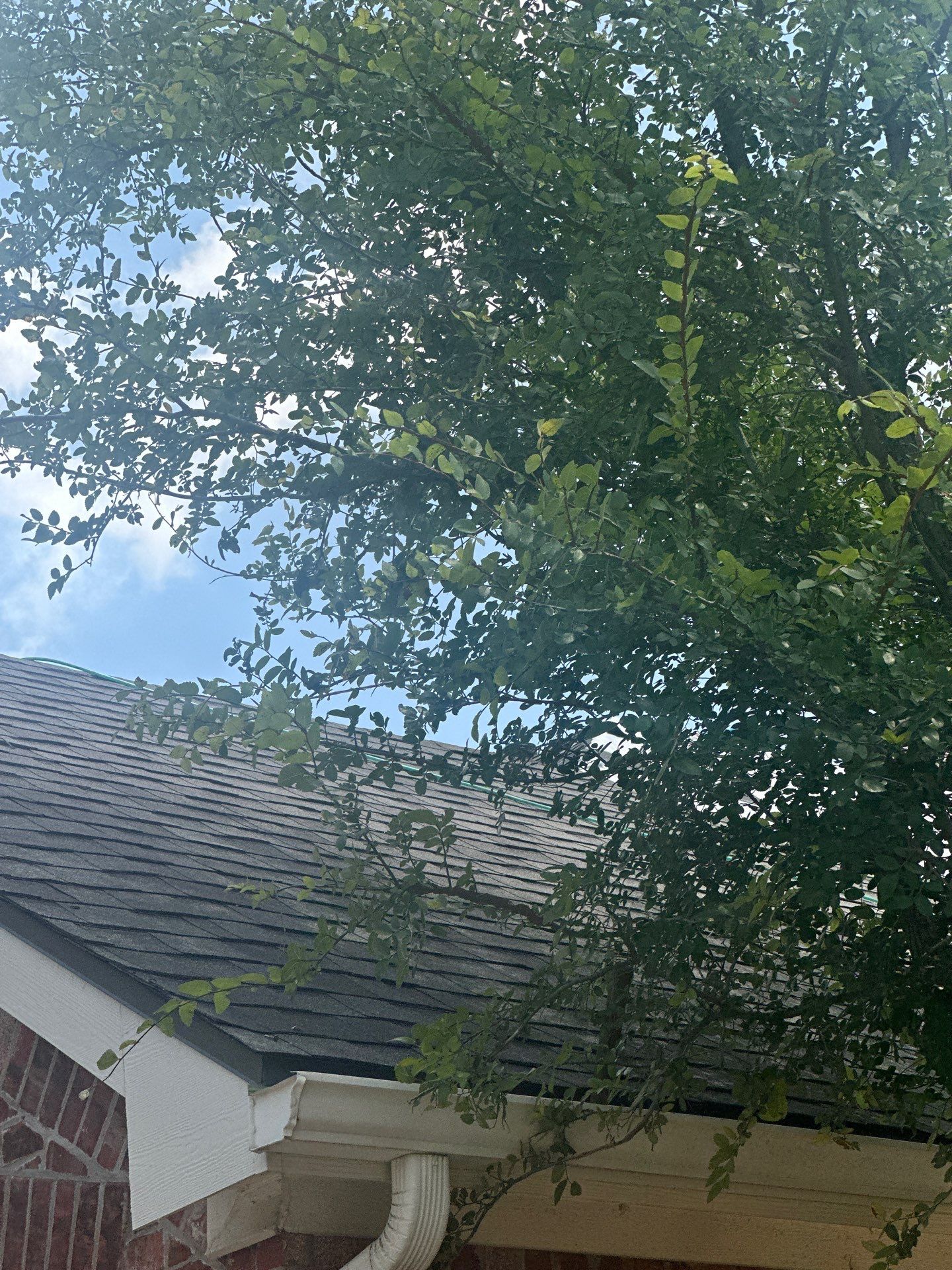 Project in Sachse by Rhino Roofing and General Contracting, LLC