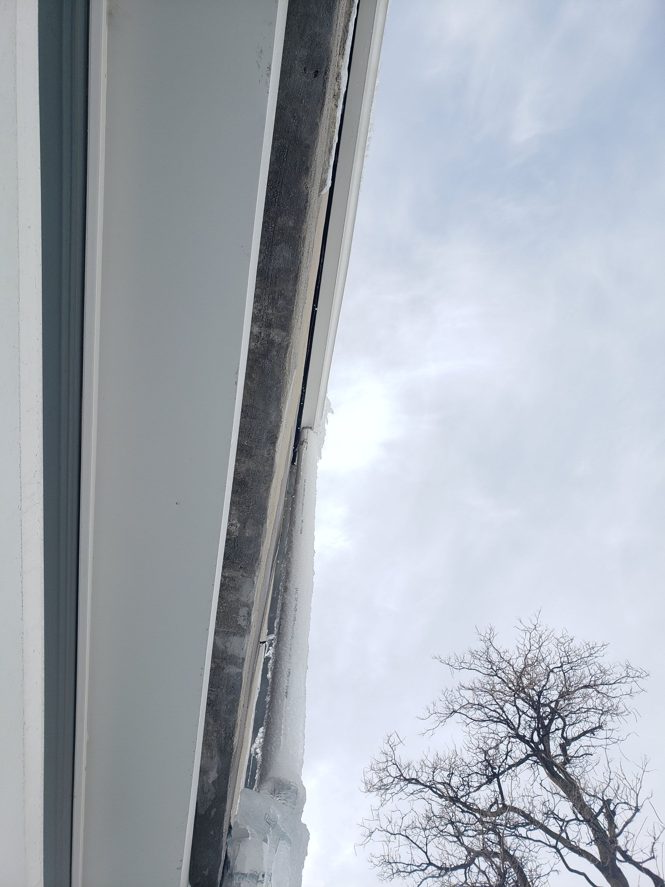 Results of an Ice Dam by Chicagoland Water Medics