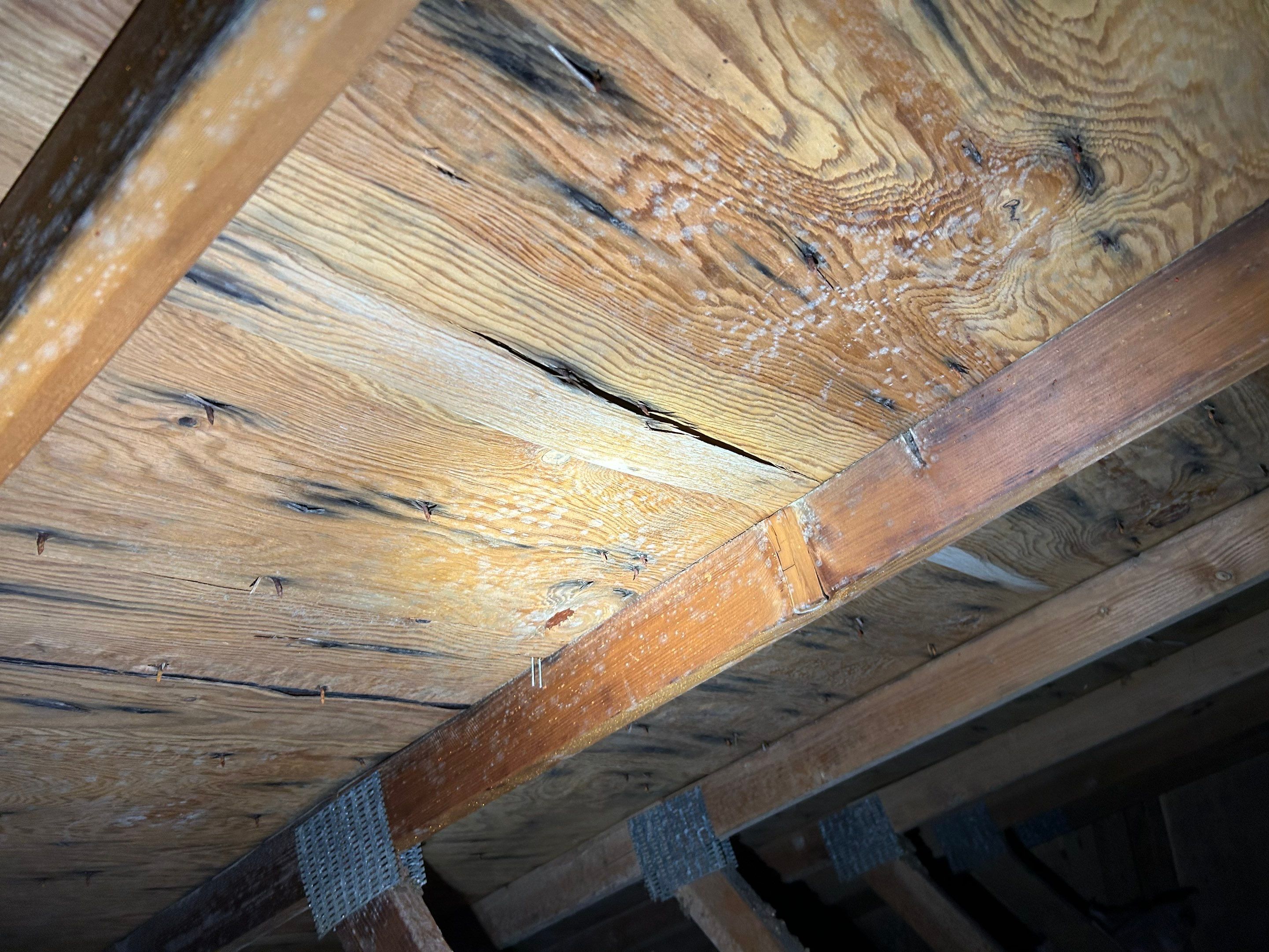 Ventilation Repairs in Tigard by Prodigy Roof Solutions