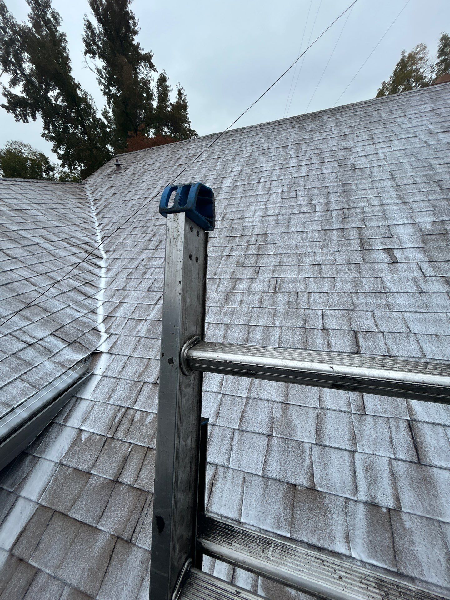 Roof Rejuvenation using Roof Maxx Treatment by Roof Maxx of Folsom