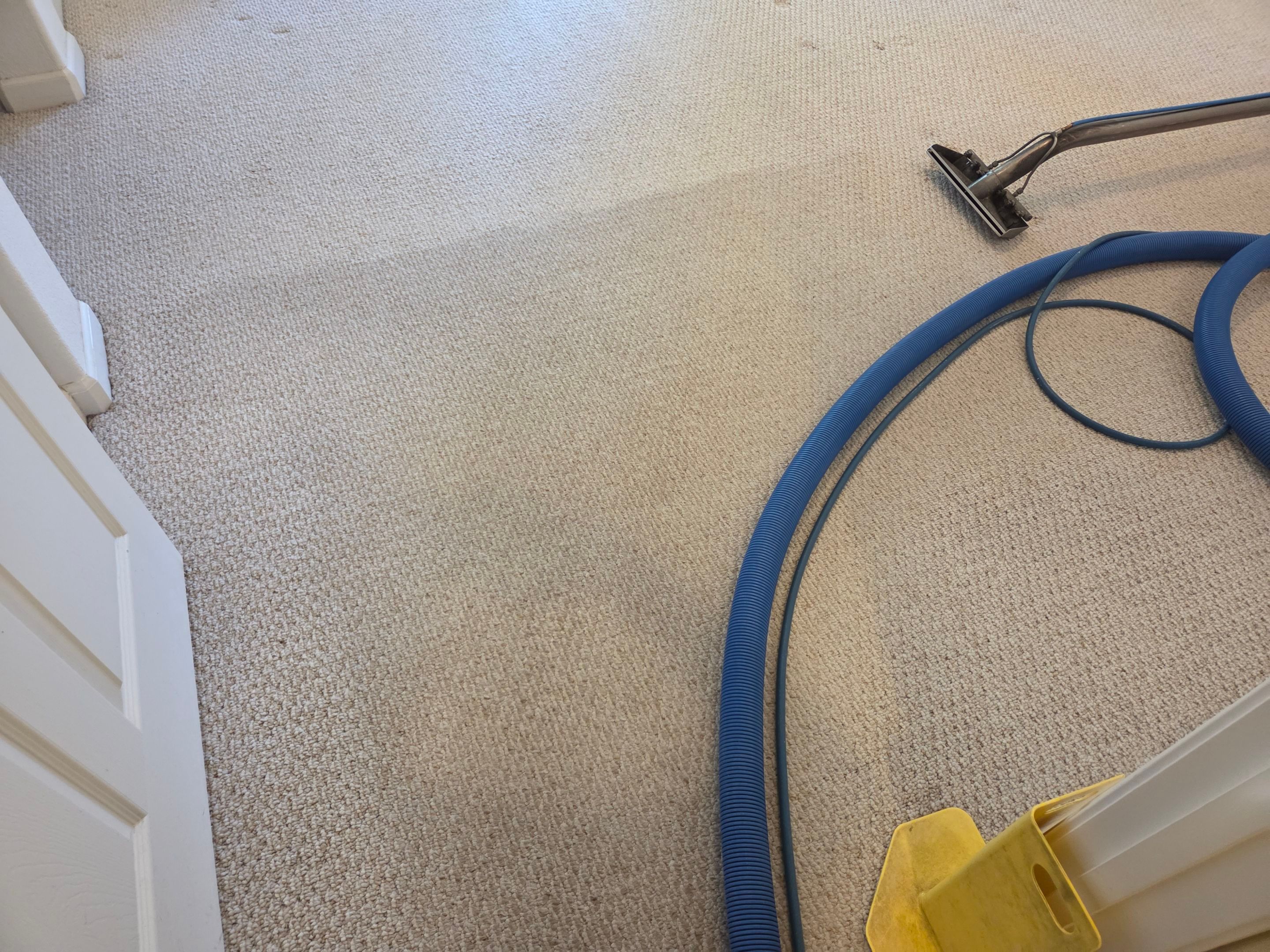 Heavy Carpet Cleaning for a Listing by Ardent Carpet Restore LLC
