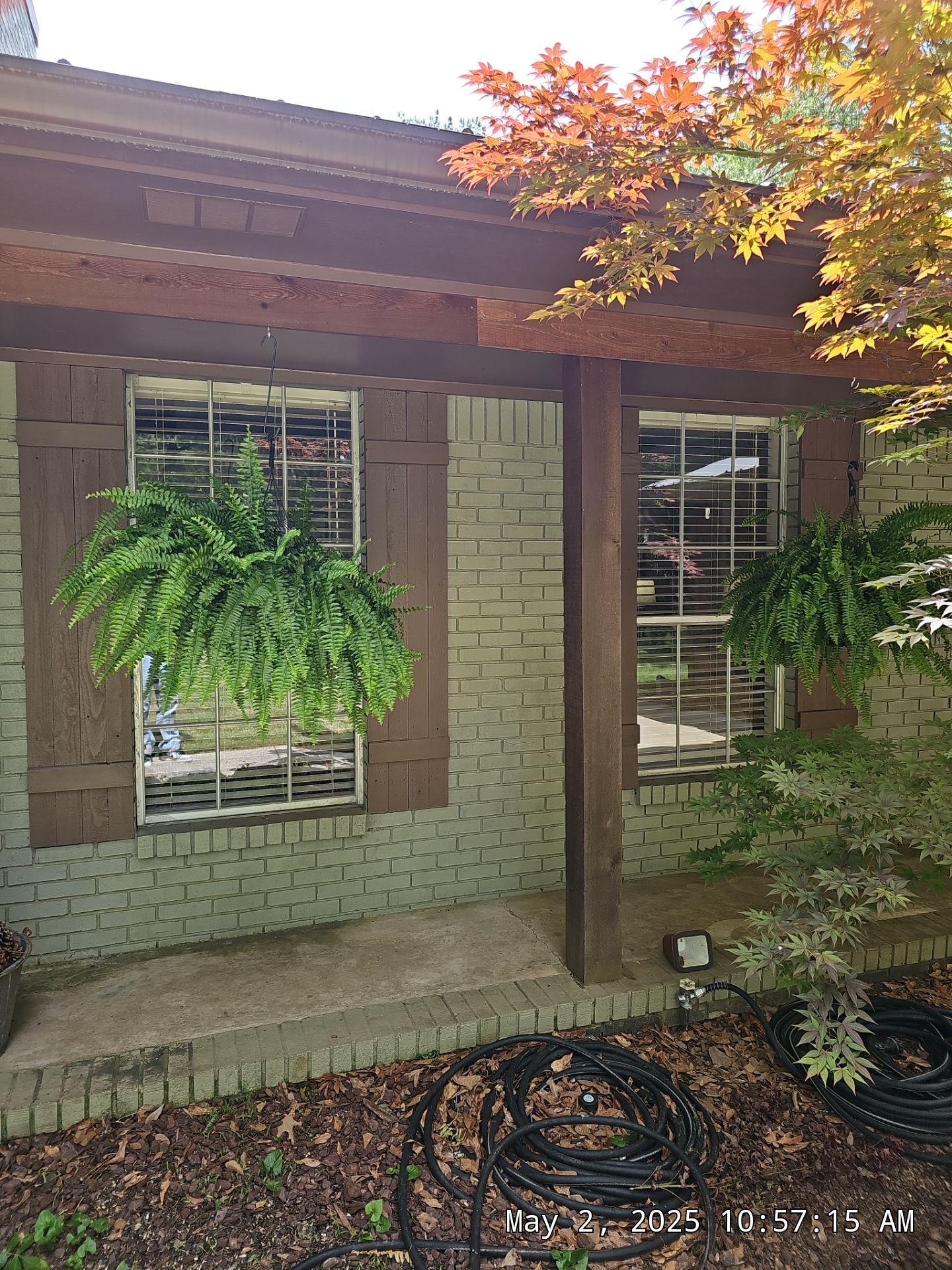 Reed Project in Chelsea by The Window Source