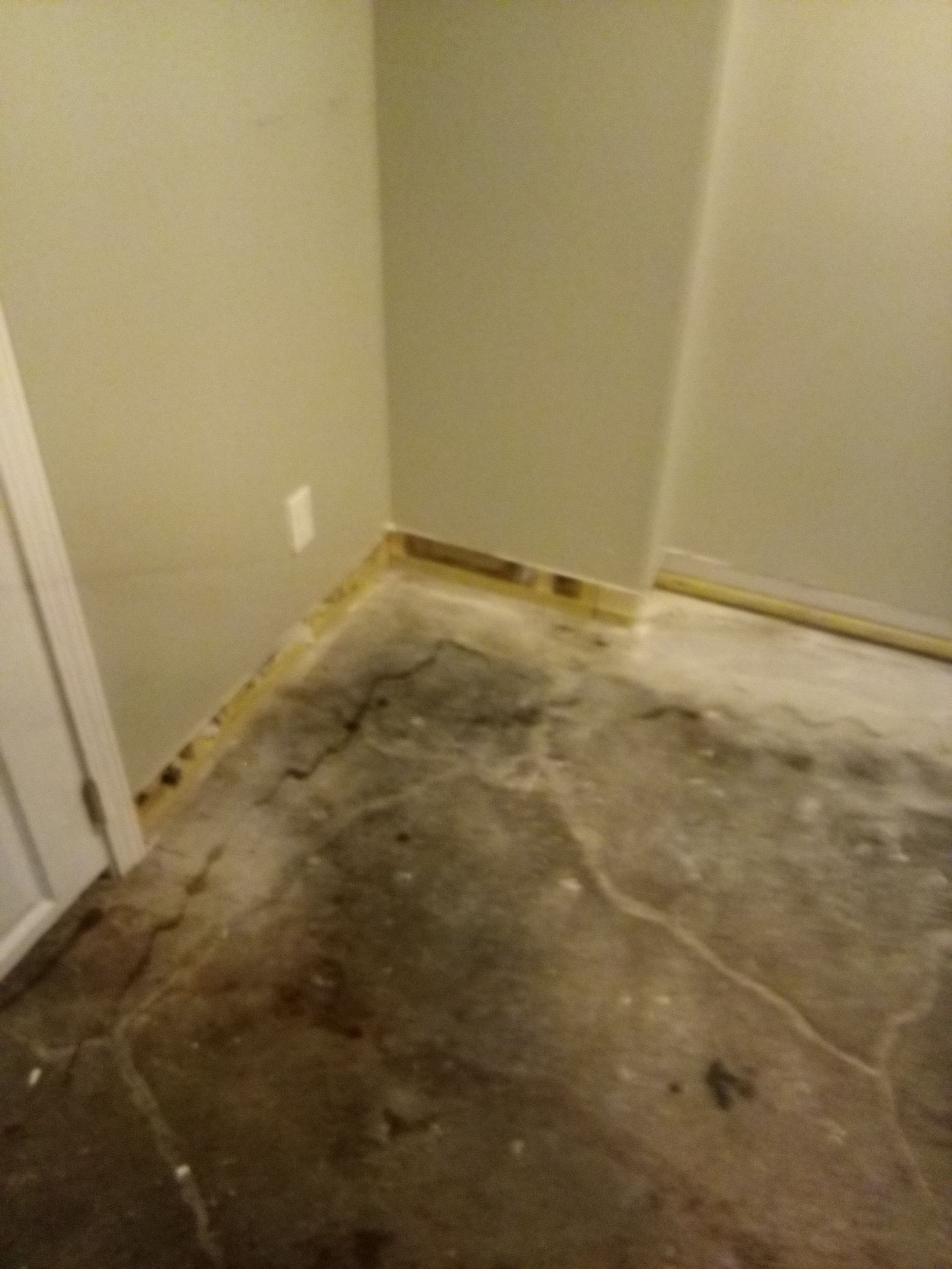 Mold Remediation in Shelbyville, KY by ANR Restoration