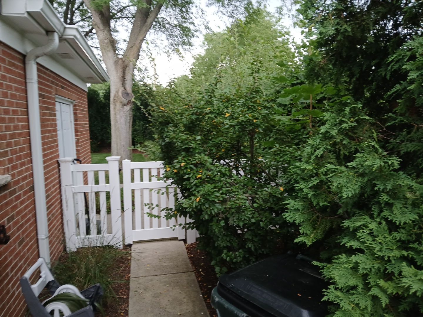 Michael I. - Glenview, IL by A&N 